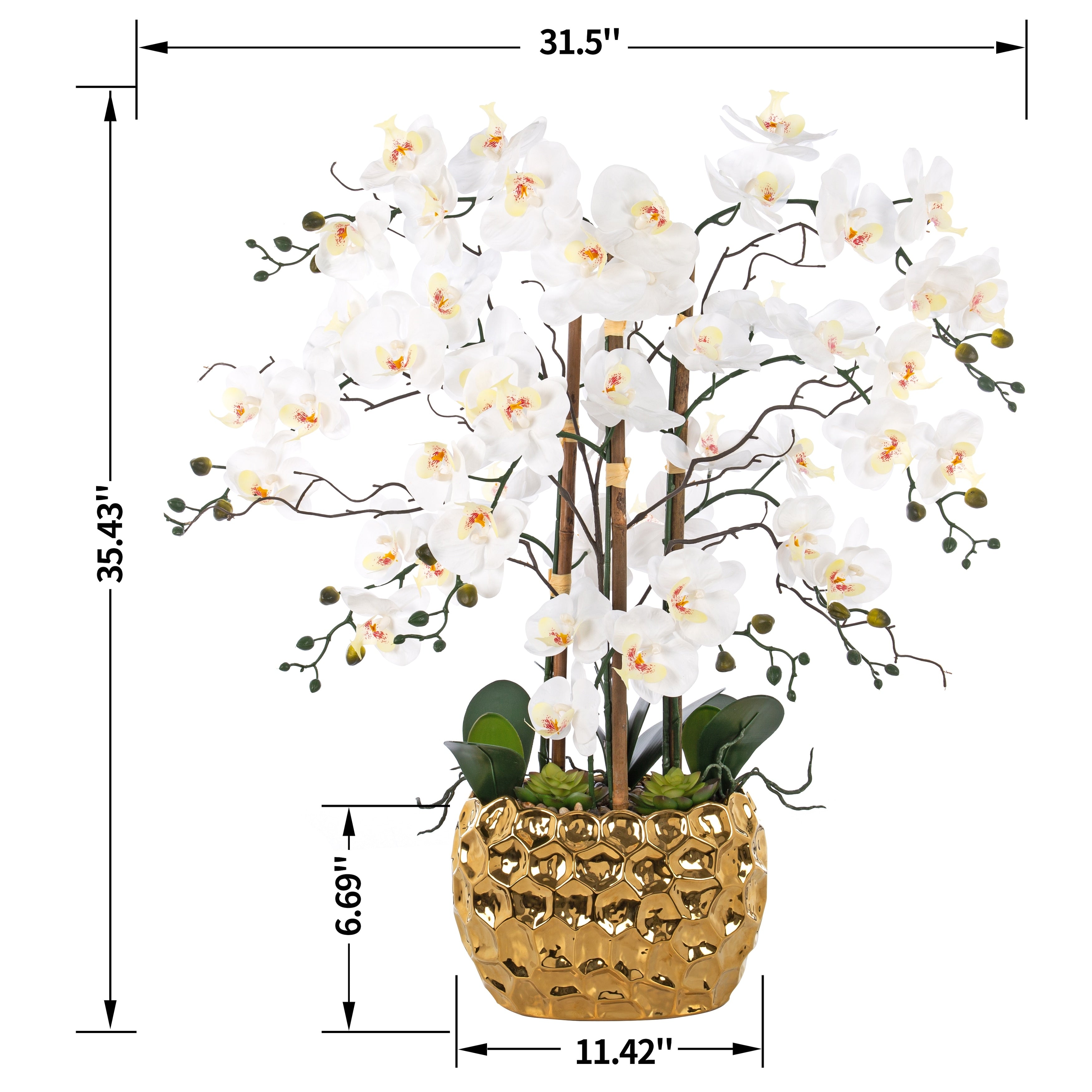 8 Stems Real Touch Phalaenopsis Plastic Orchids with Succulents in White Ceramic Pot - 35.43 H x 31.5 W x 31.5  D