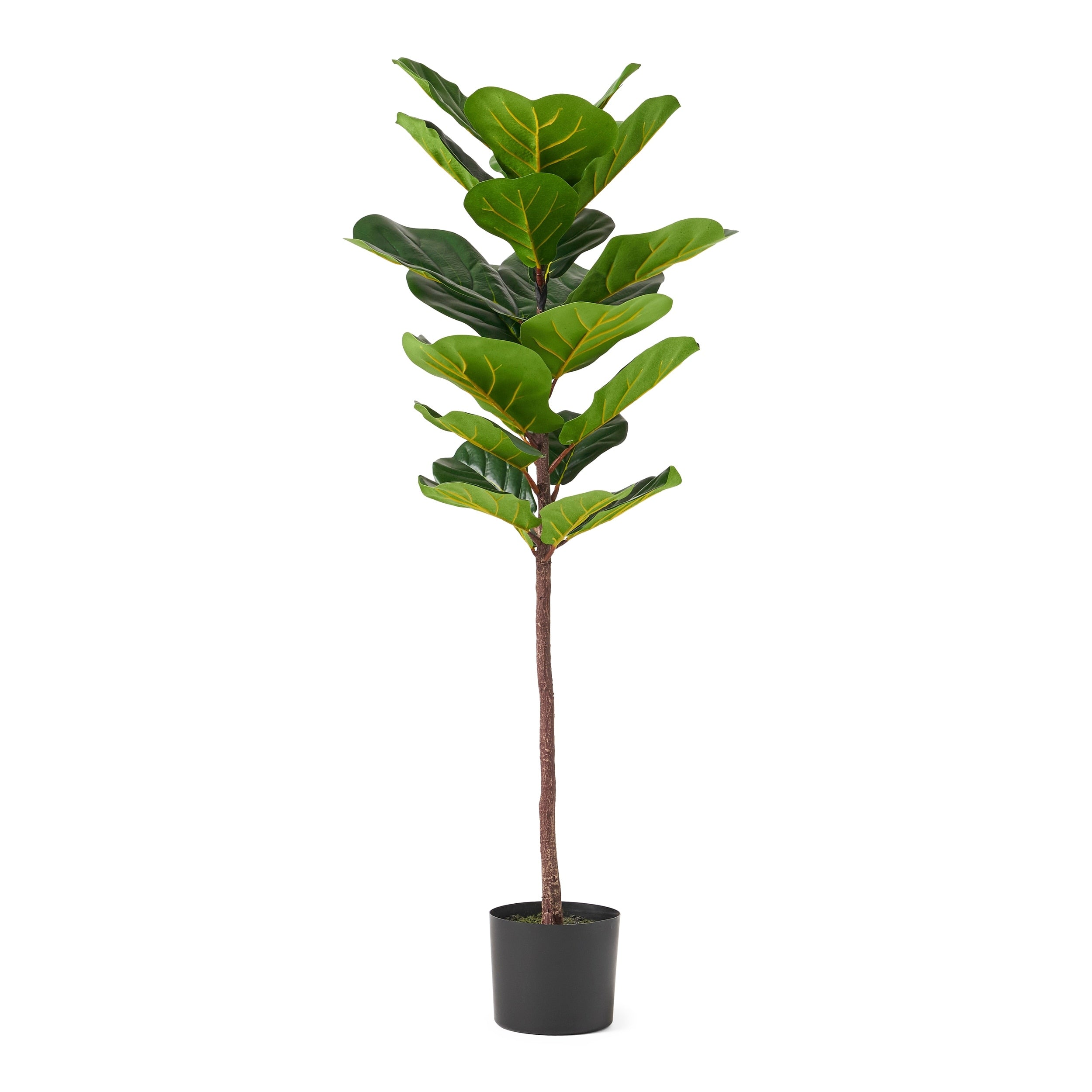 Socorro 4' x 1.5' Artificial Fiddle-Leaf Fig Tree by Christopher Knight Home