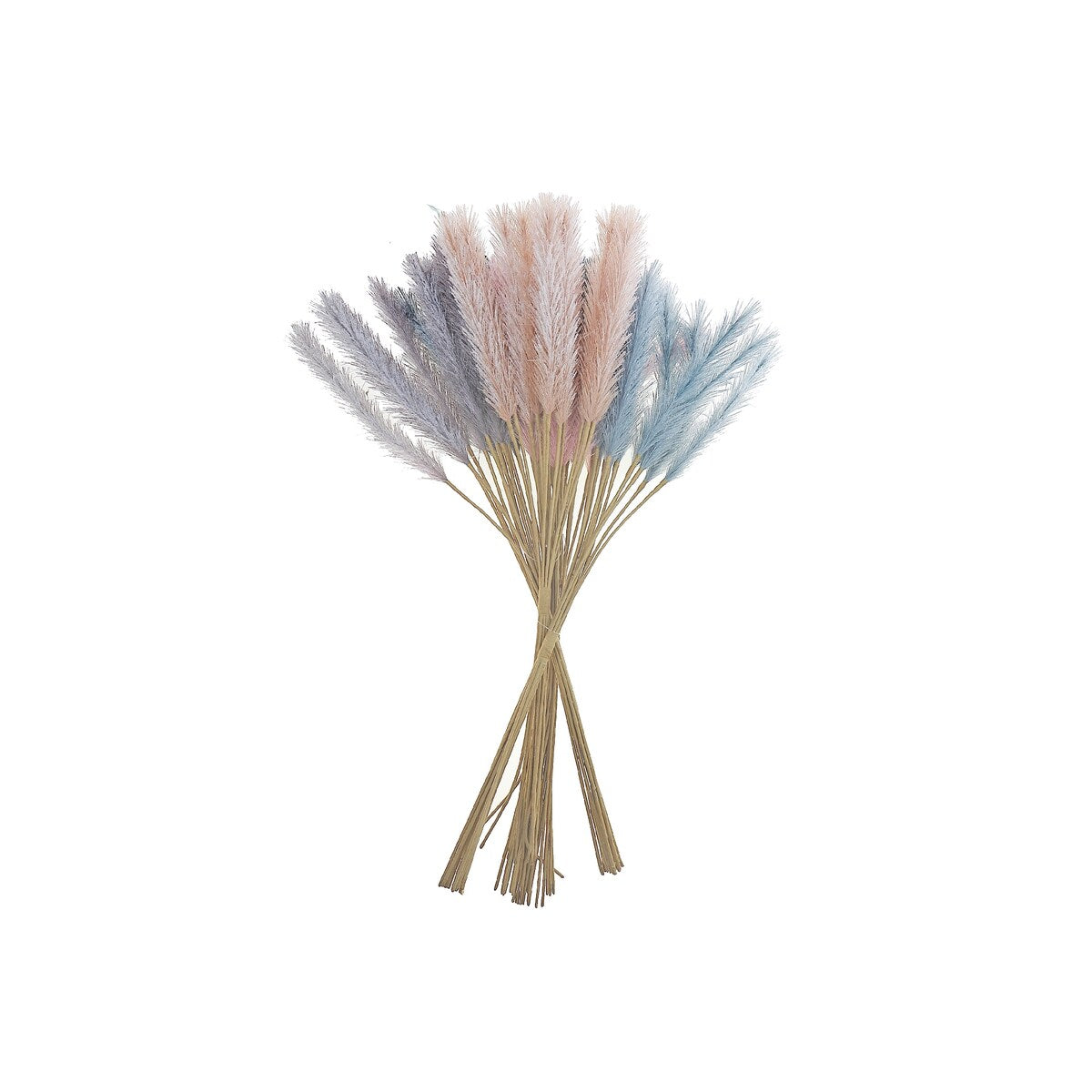 Pampas Pick - Set of 6 - Multi