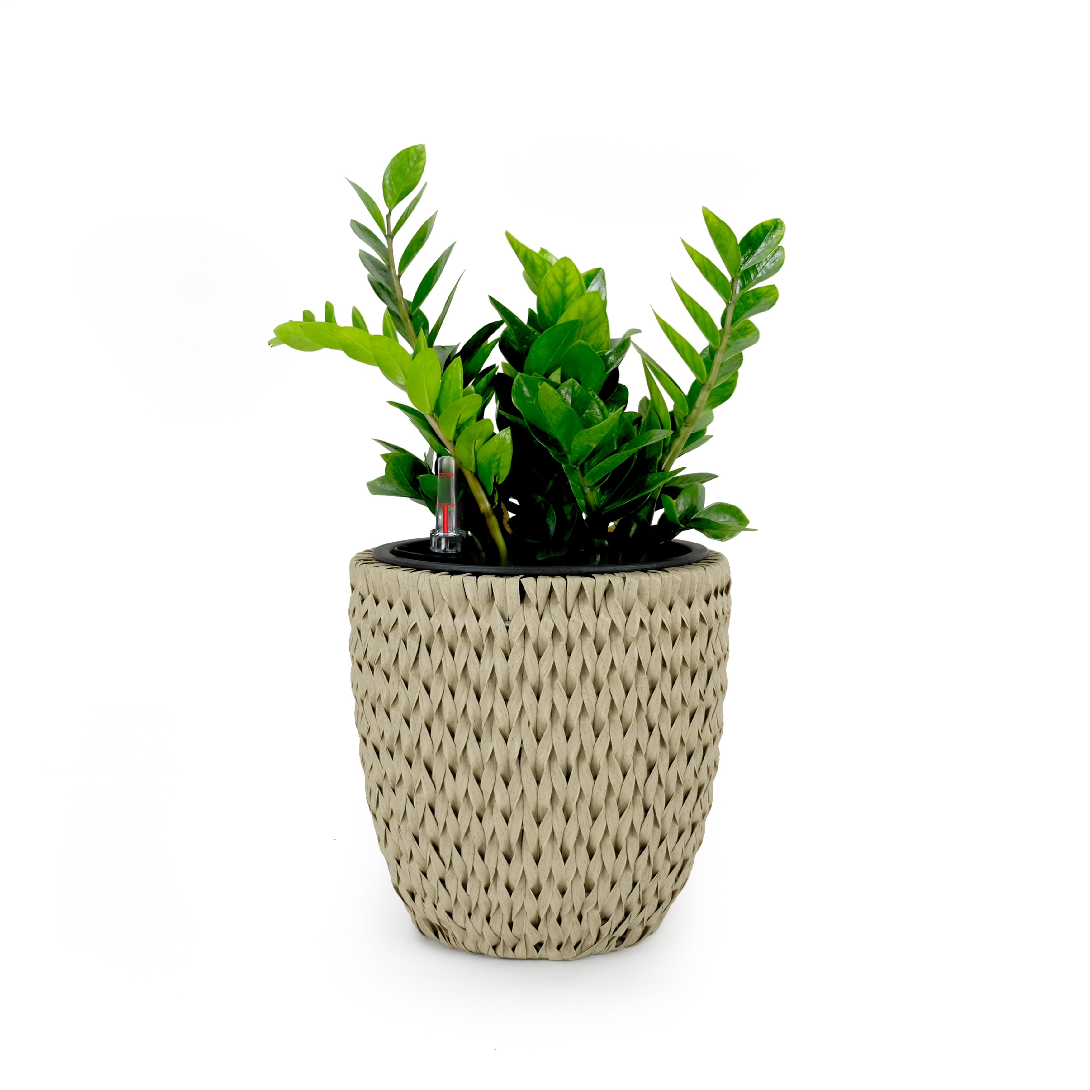 DTY Signature Self-watering Wicker Planter - Garden Decoration Pot