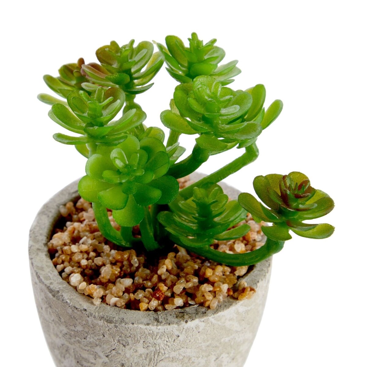 6-Pack Artificial Succulent Plant Pots Faux Mini Cactus