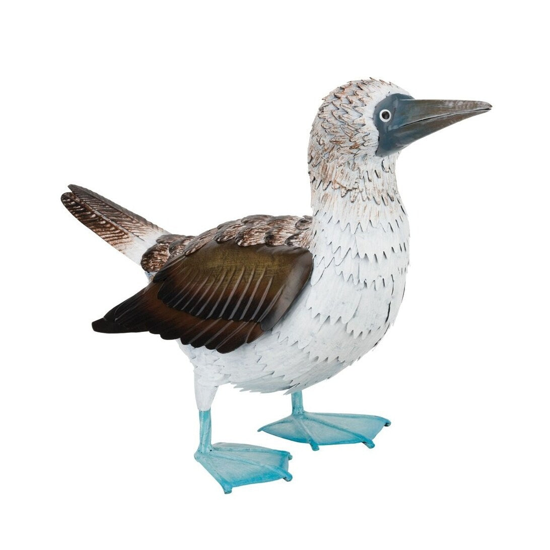 Blue Footed Booby Decor