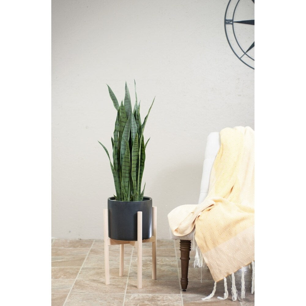 UPshining Large Ceramic Planter 10 Black with Wood Stand Natural