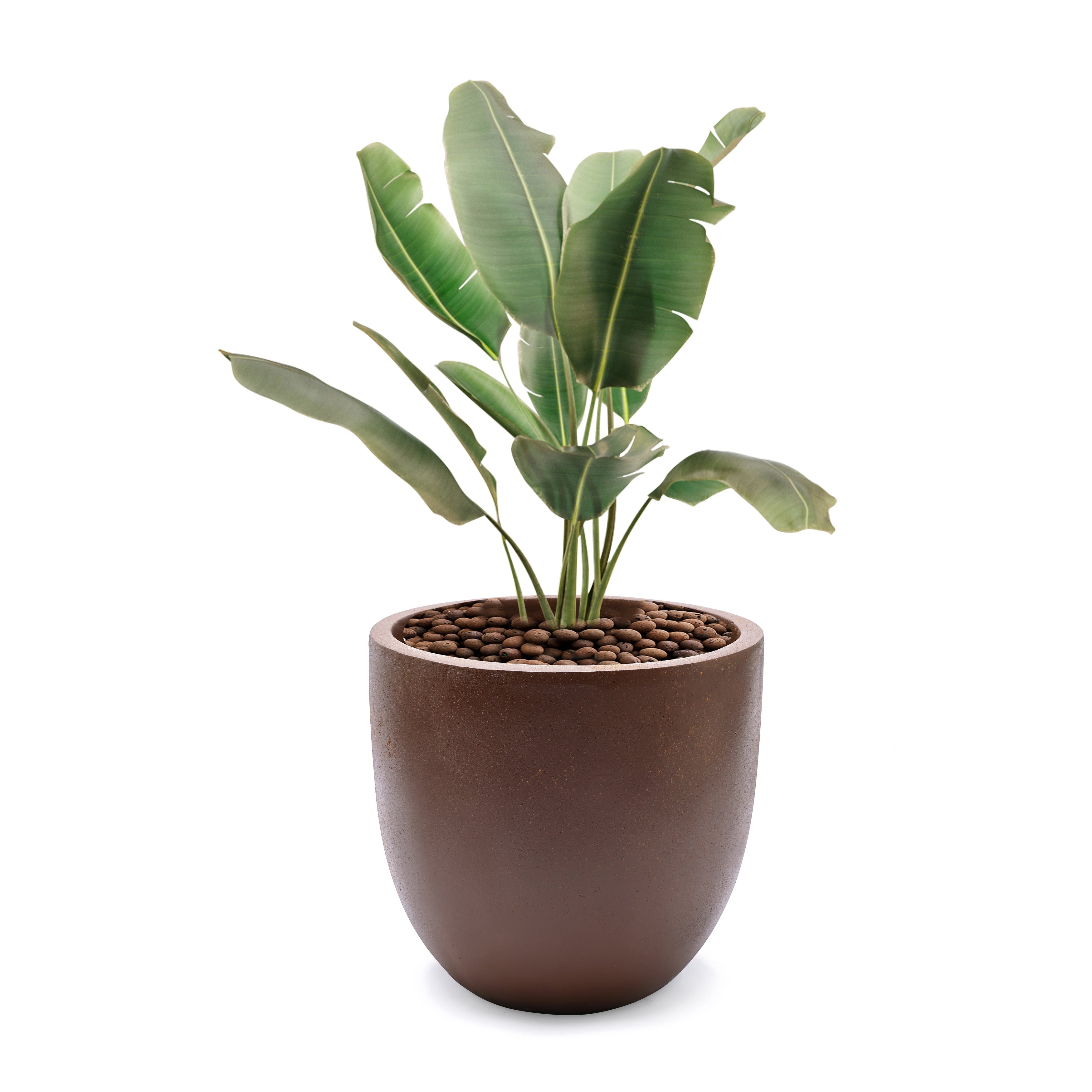 Tapered Round MgO Planter, Indoor and Outdoor