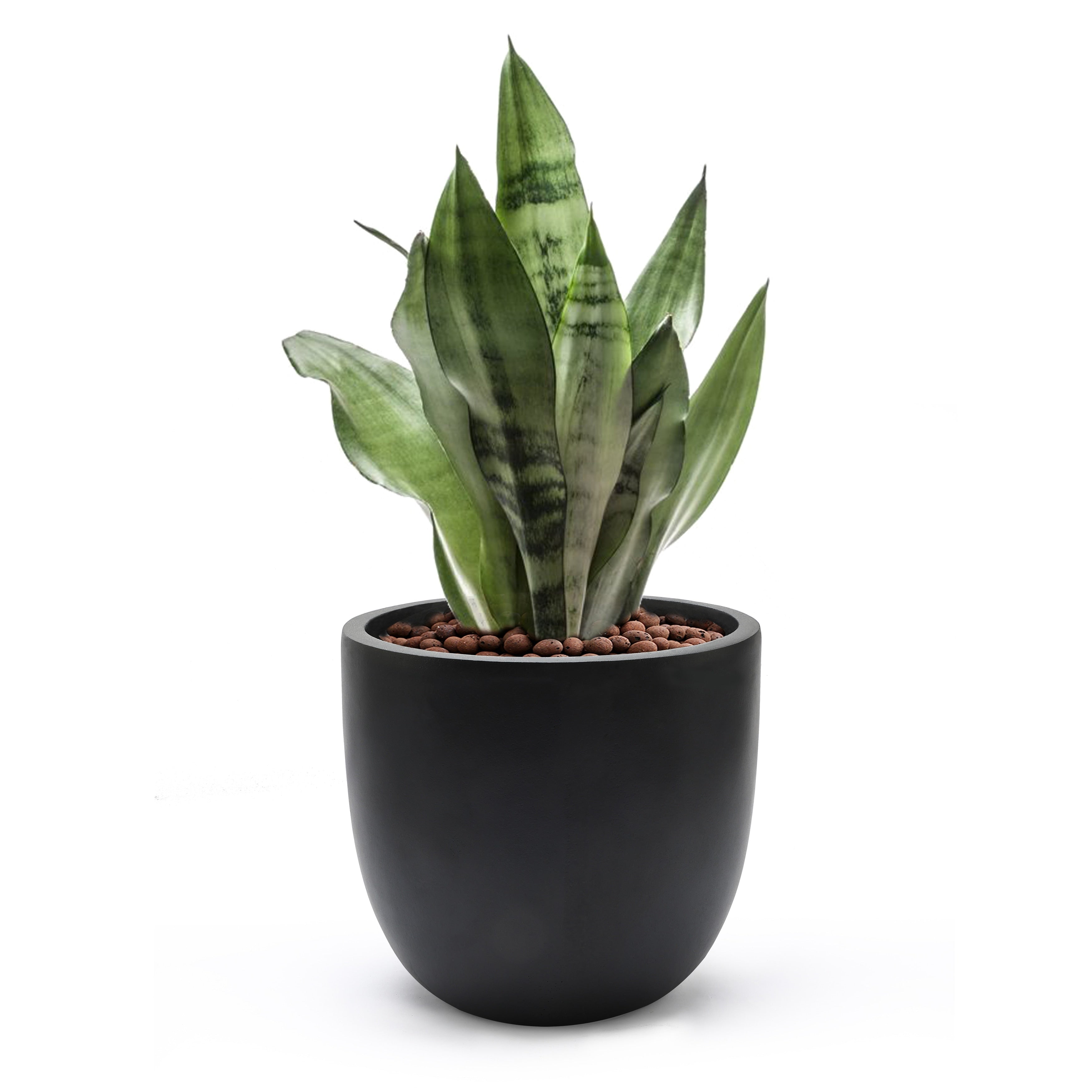 Tapered Round MgO Planter, Indoor and Outdoor