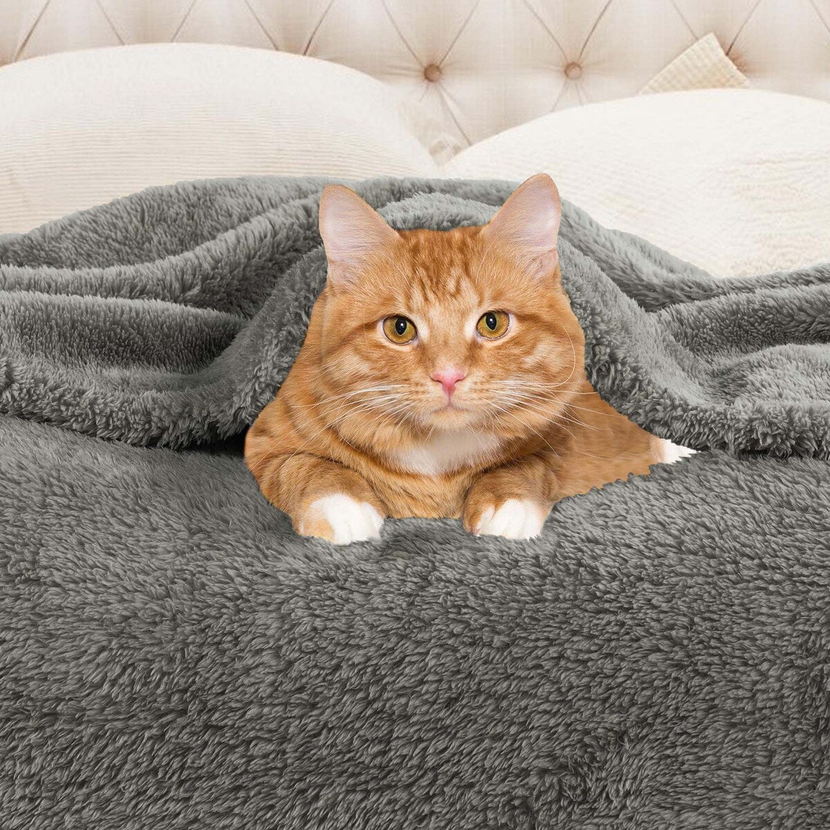 Simply Essential Plush Medium Weight Classic Solid Fleece Blanket