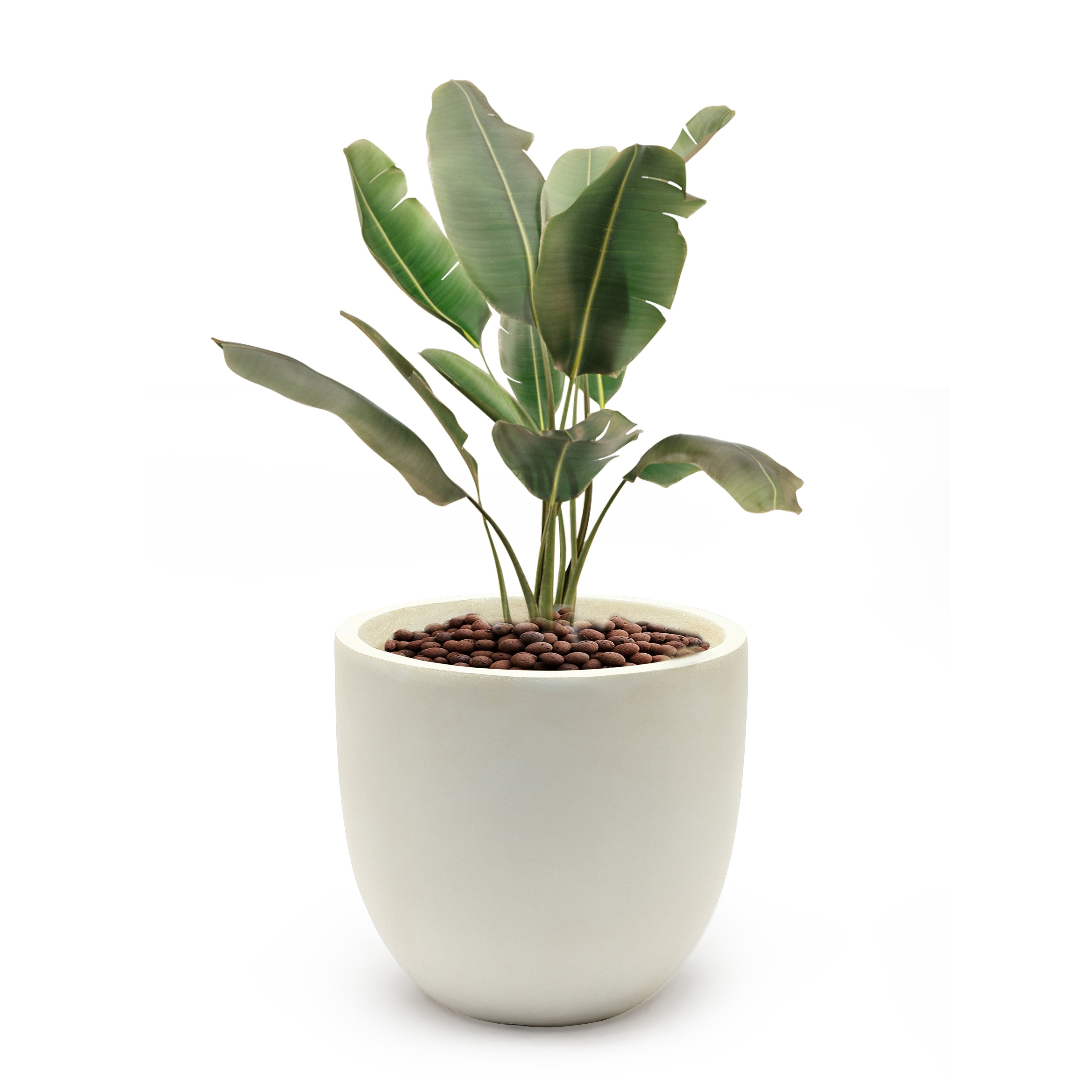 Tapered Round MgO Planter, Indoor and Outdoor