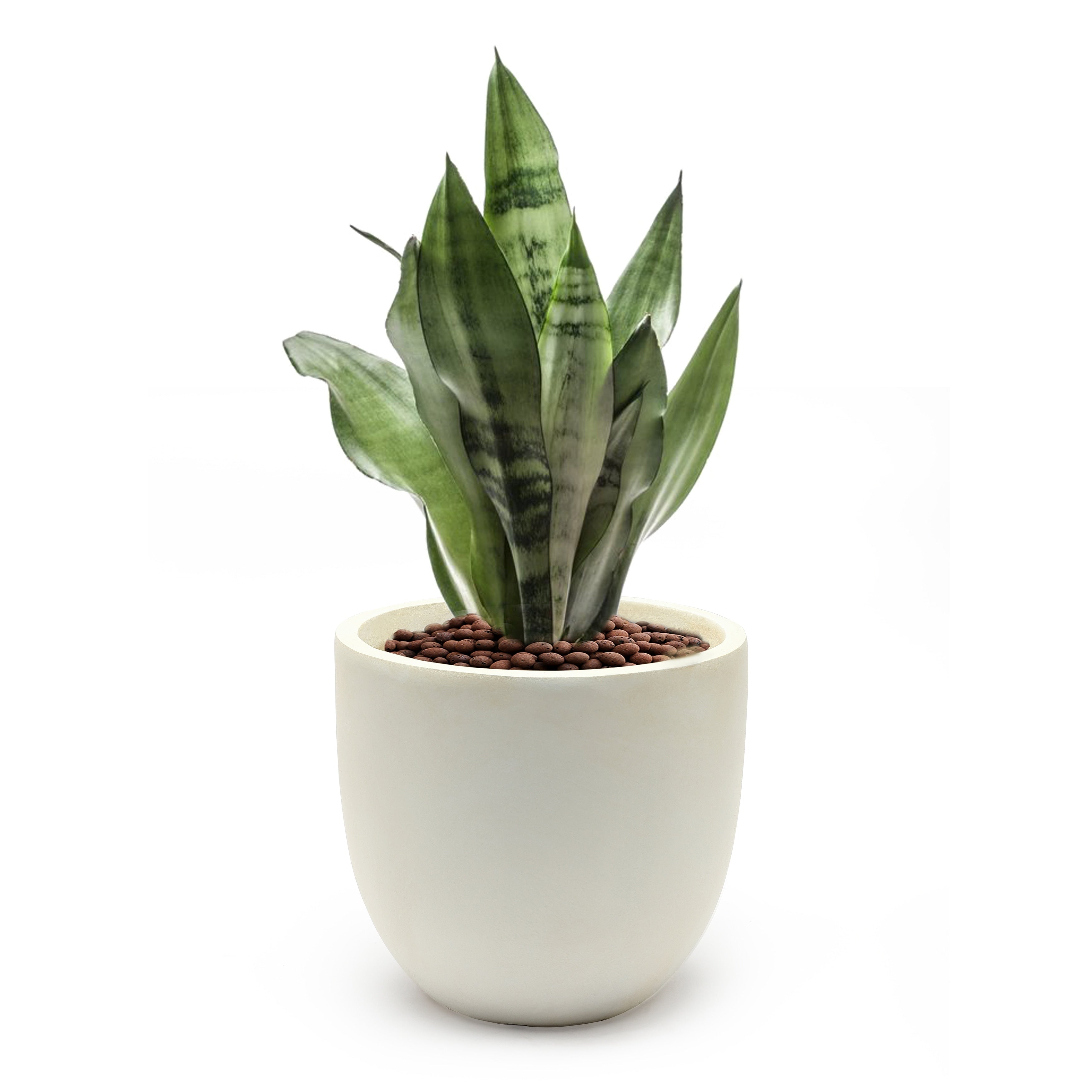 Tapered Round MgO Planter, Indoor and Outdoor