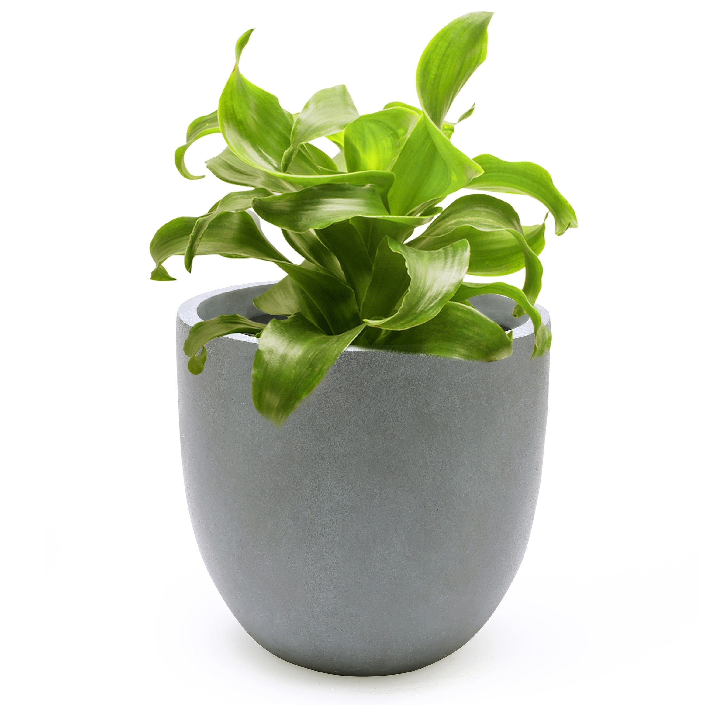 Tapered Round MgO Planter, Indoor and Outdoor