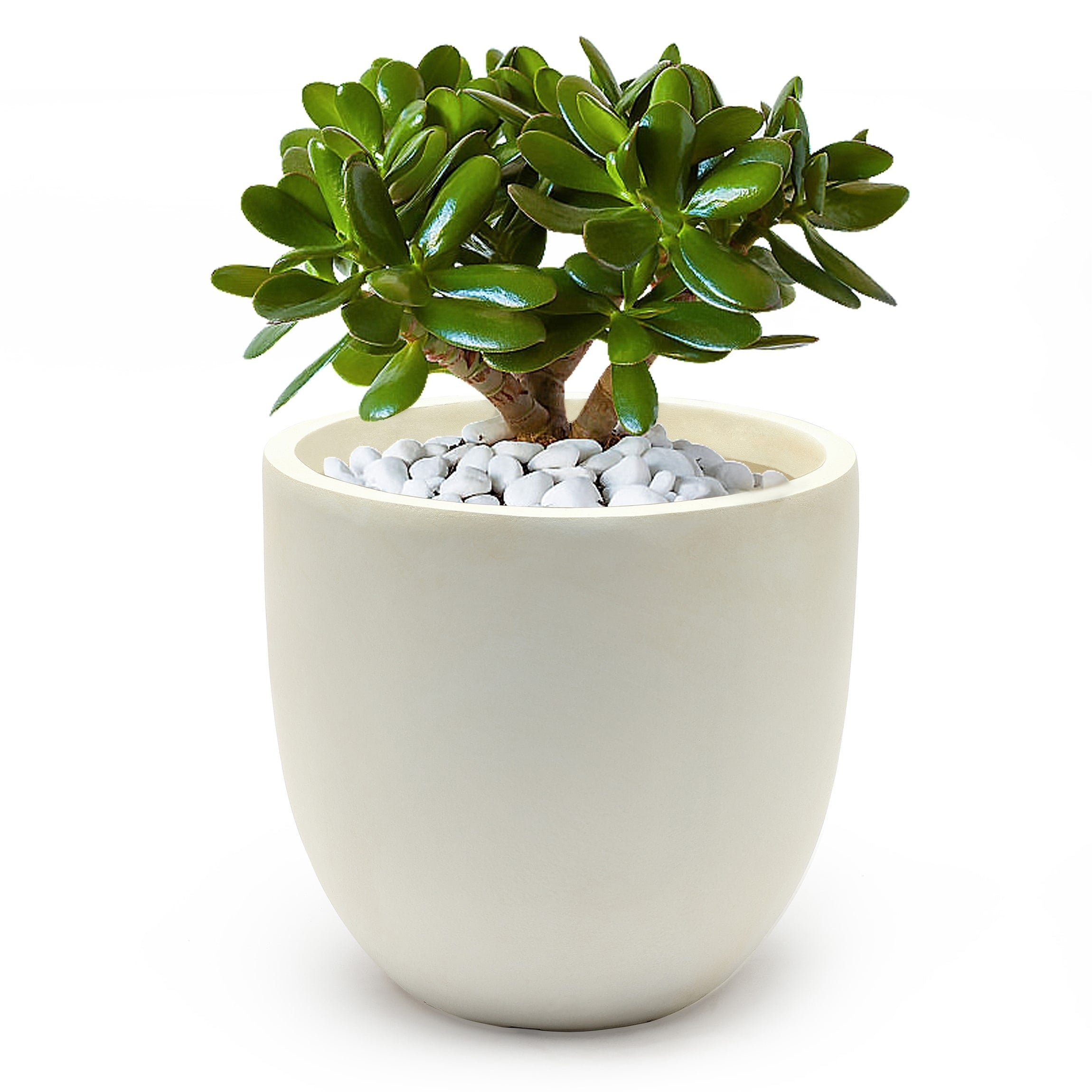 Tapered Round MgO Planter, Indoor and Outdoor