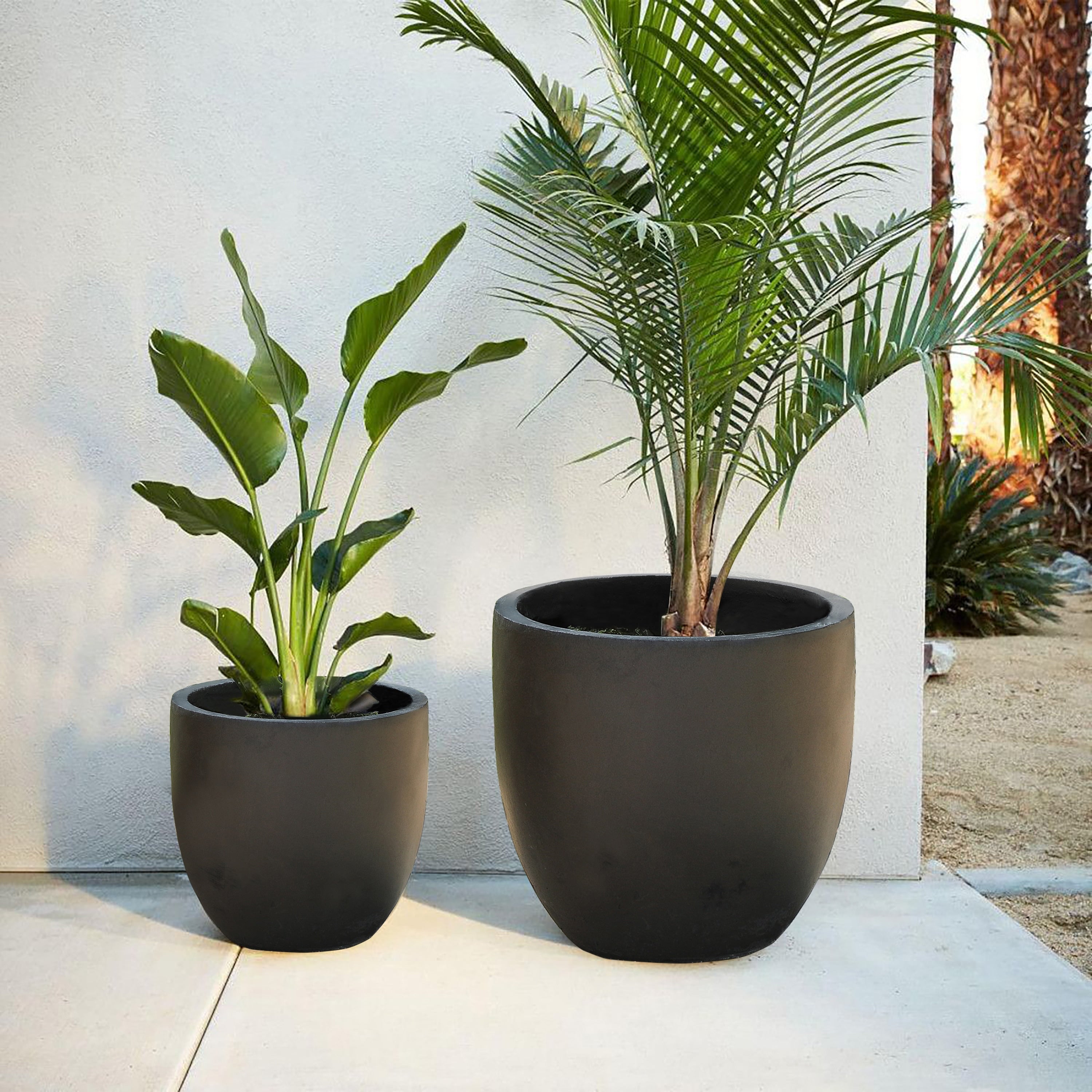 Tapered Round MgO Planter, Indoor and Outdoor