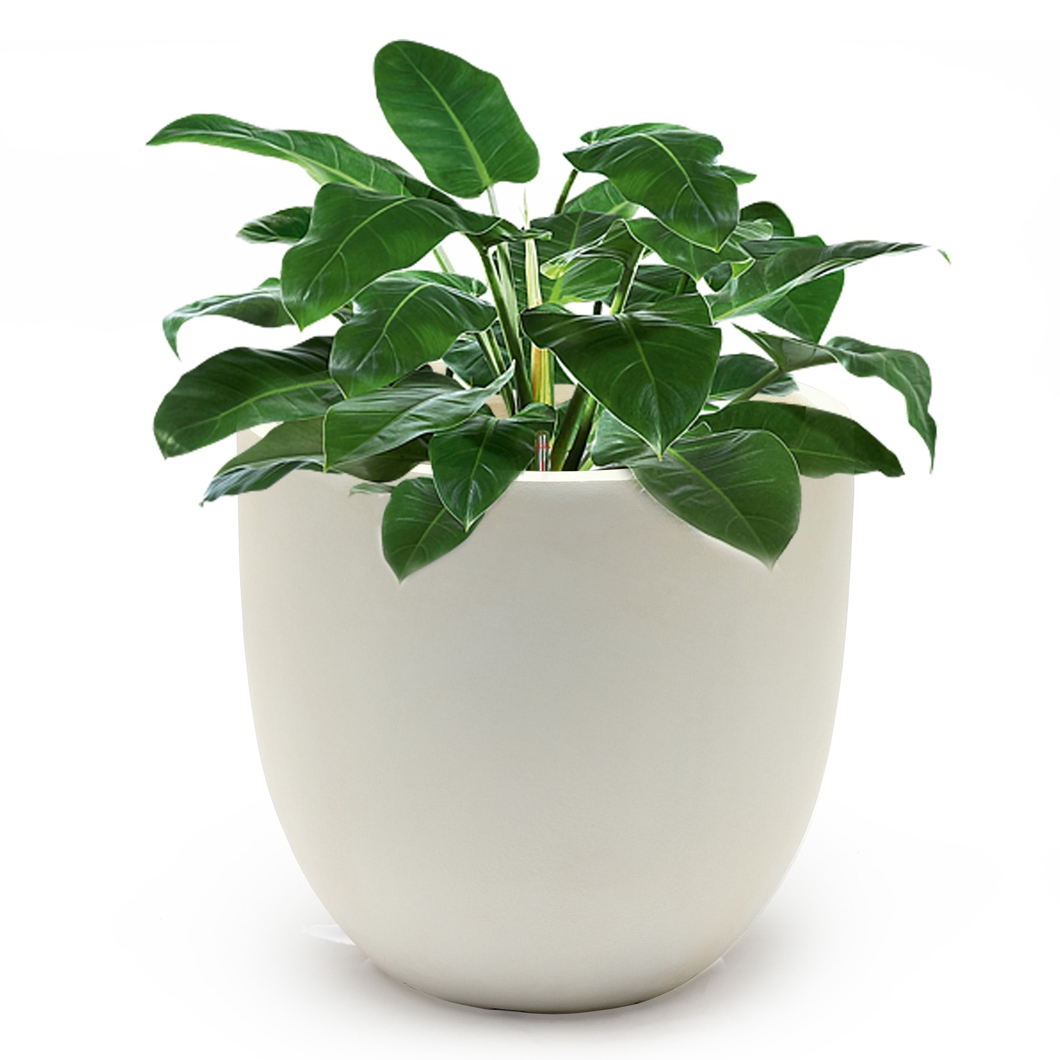 Tapered Round MgO Planter, Indoor and Outdoor