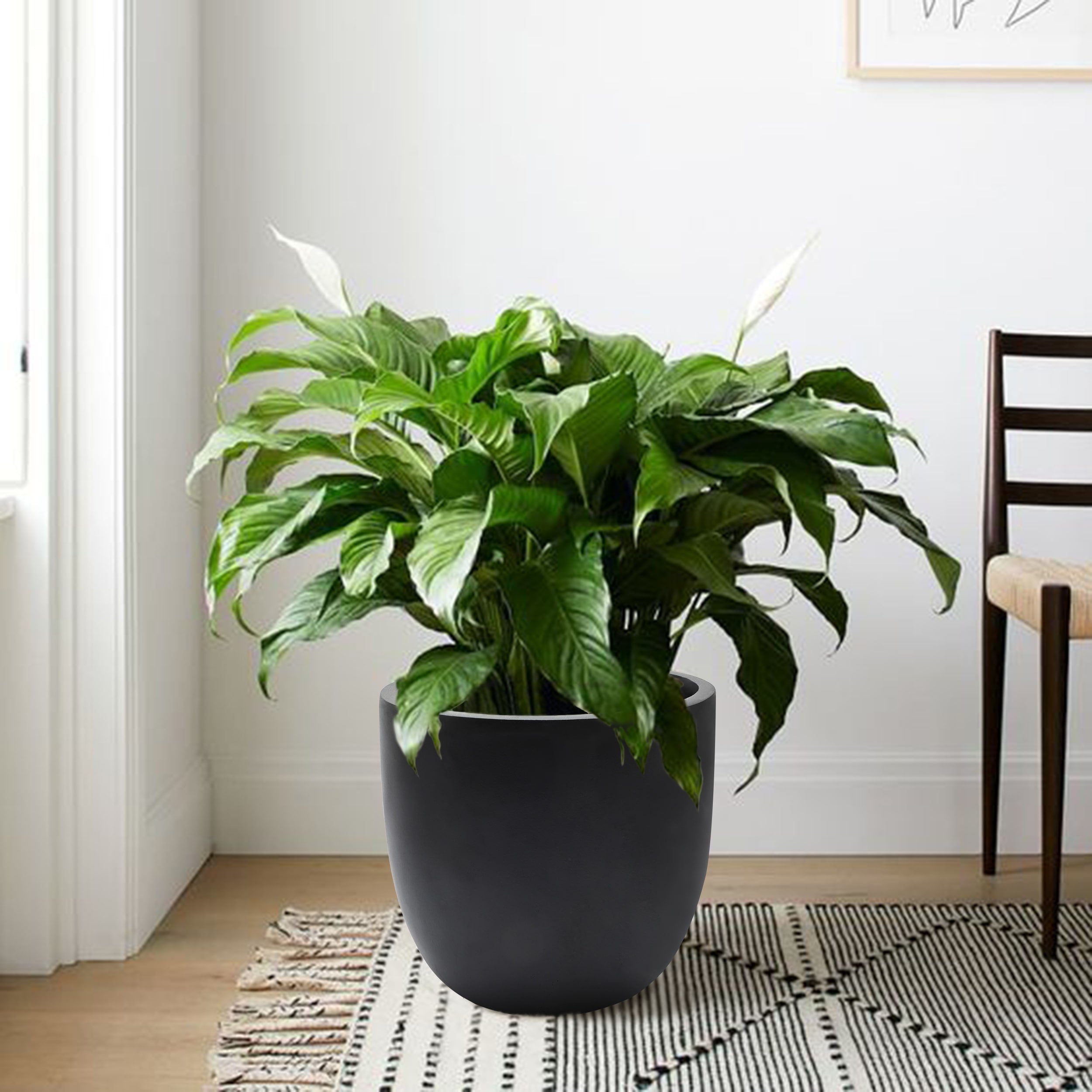 Tapered Round MgO Planter, Indoor and Outdoor