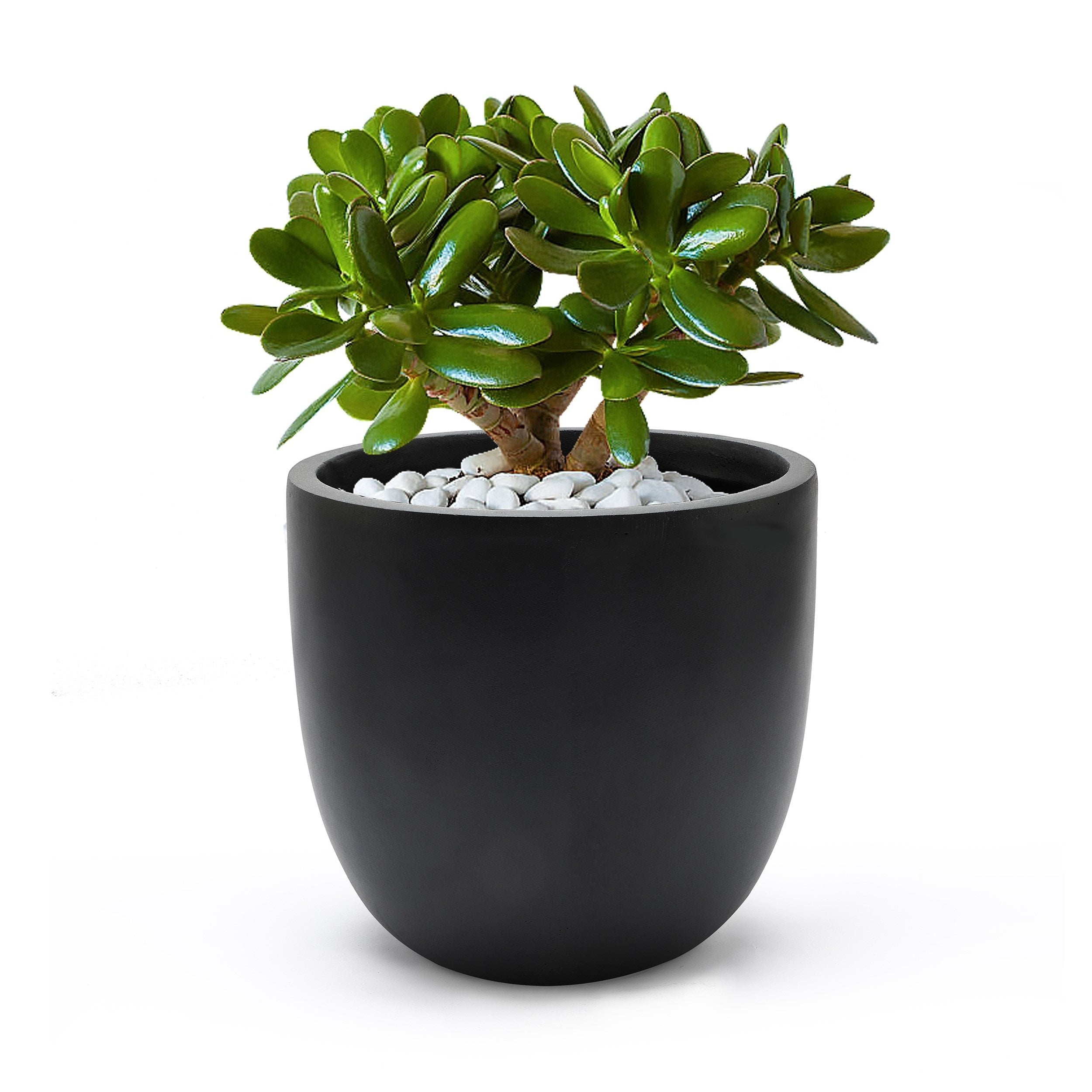 Tapered Round MgO Planter, Indoor and Outdoor