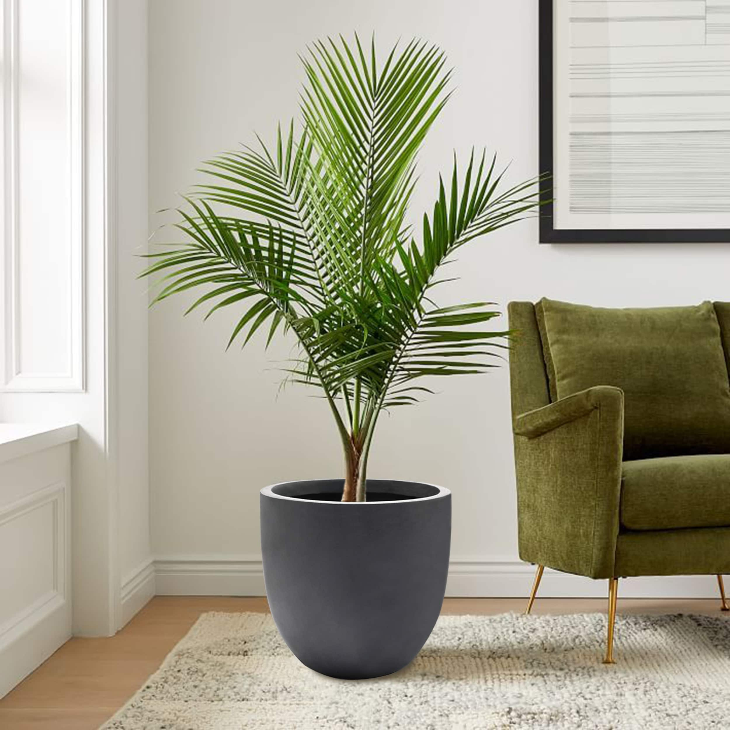 Tapered Round MgO Planter, Indoor and Outdoor