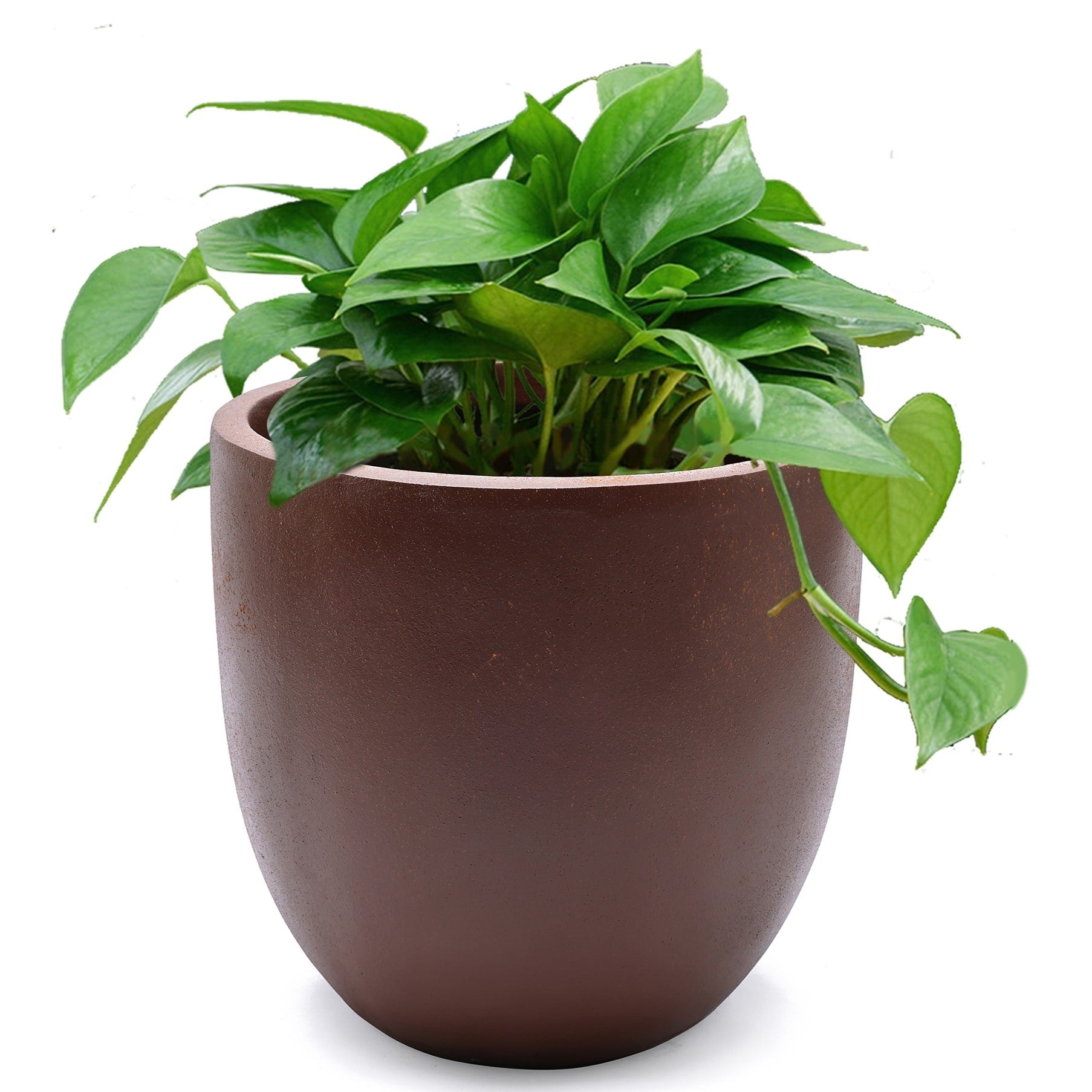 Tapered Round MgO Planter, Indoor and Outdoor