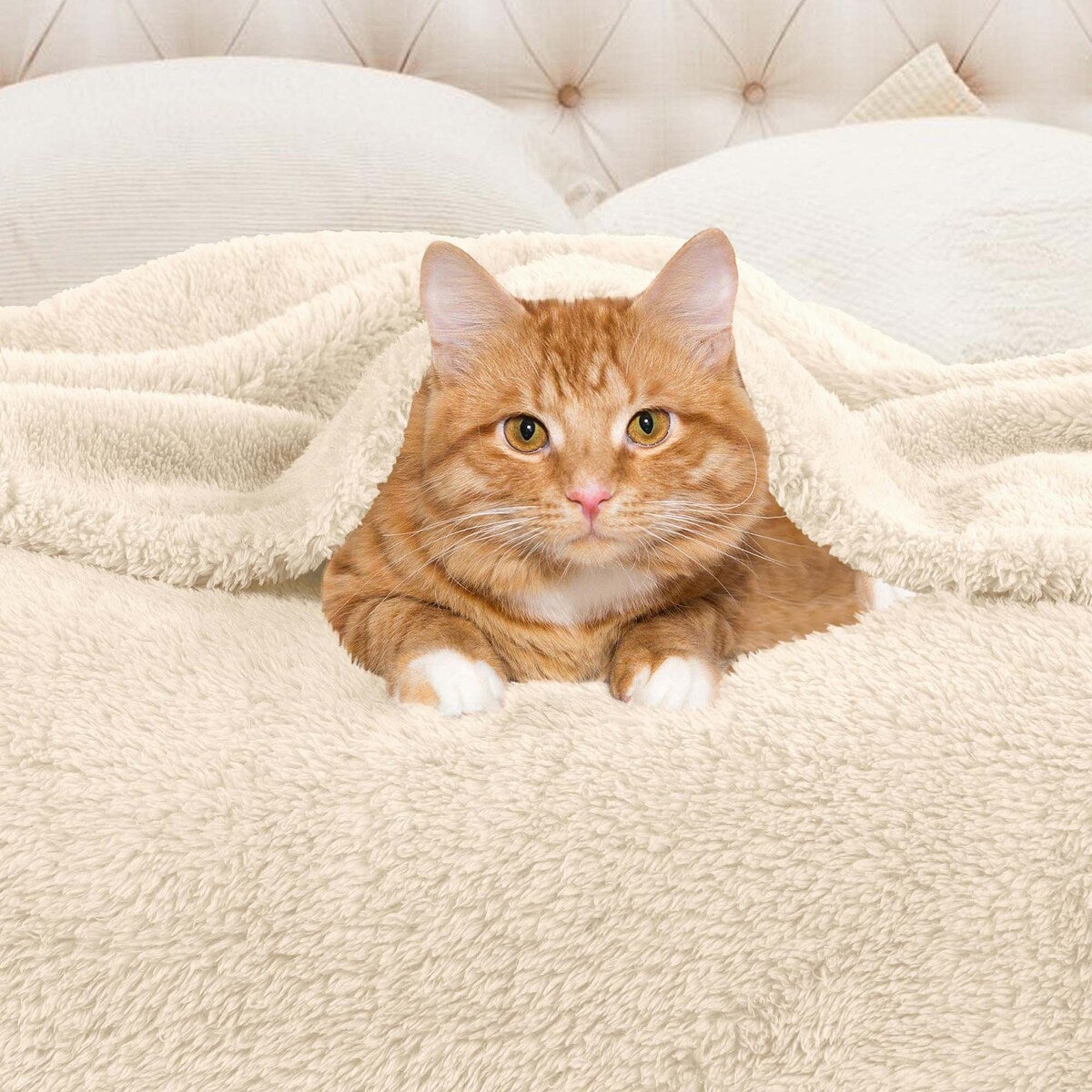 Simply Essential Plush Medium Weight Classic Solid Fleece Blanket