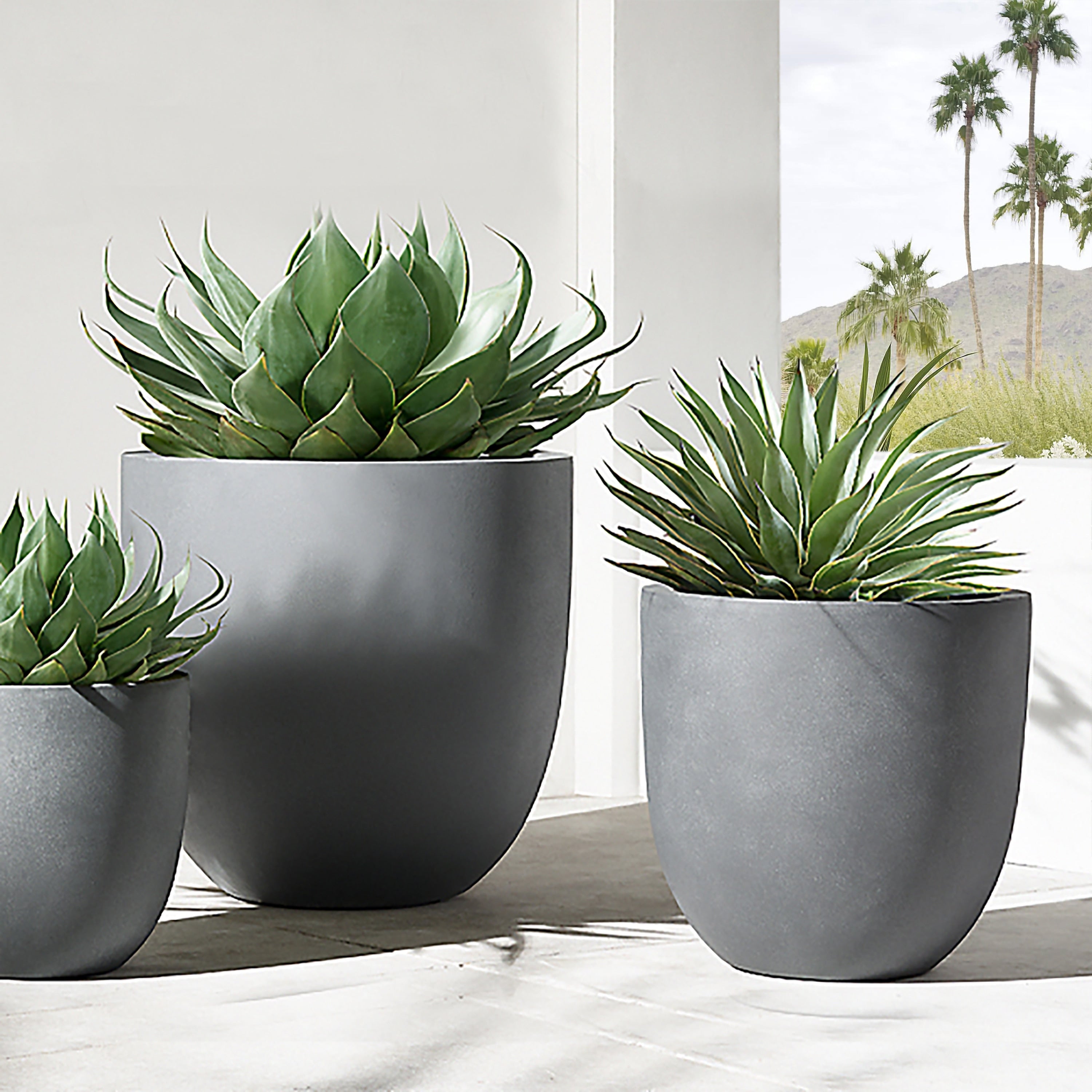 Tapered Round MgO Planter, Indoor and Outdoor