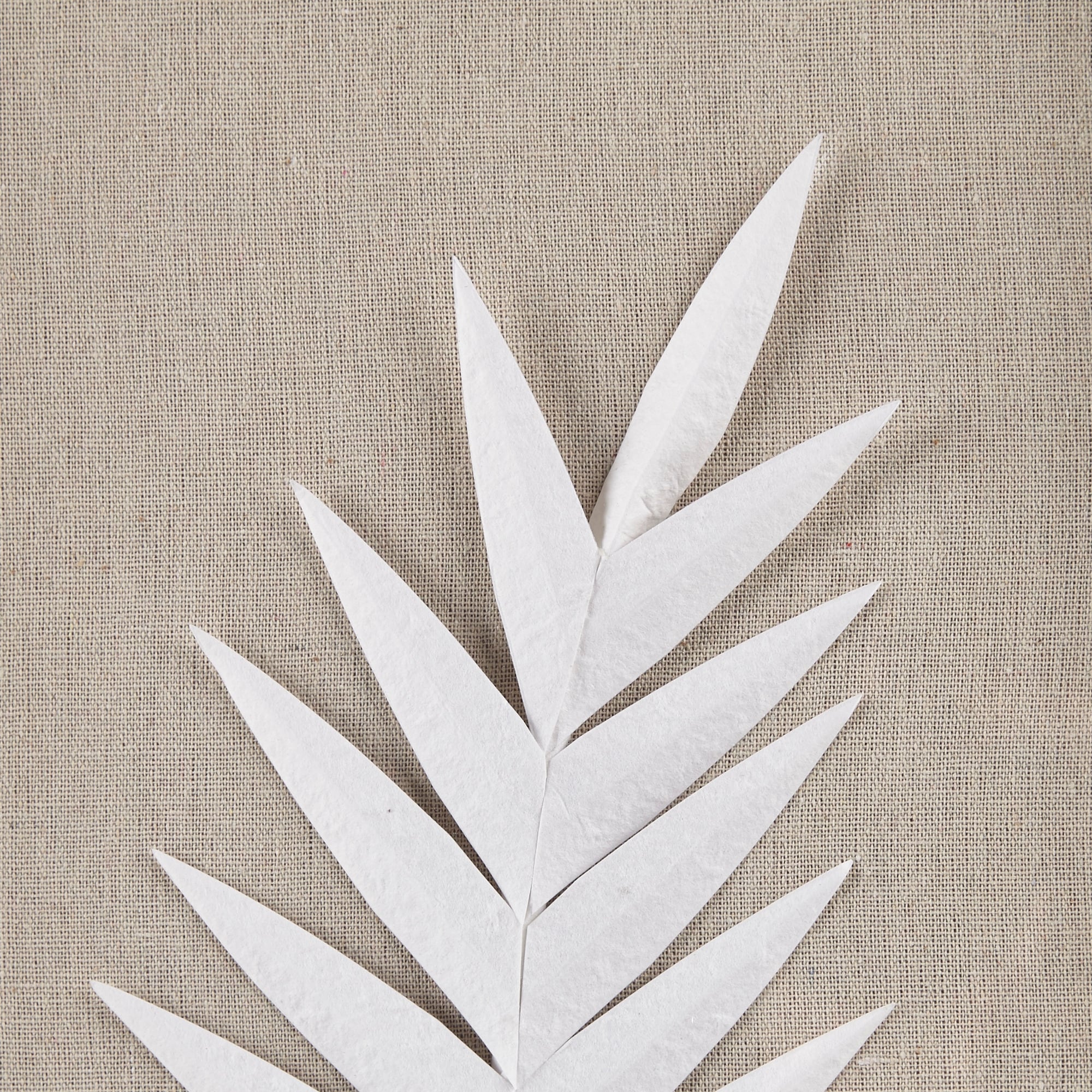 Madison Park Sabal Handmade Framed Rice Paper Palm Leaves 3-piece Shadowbox Wall Decor Set - Off White