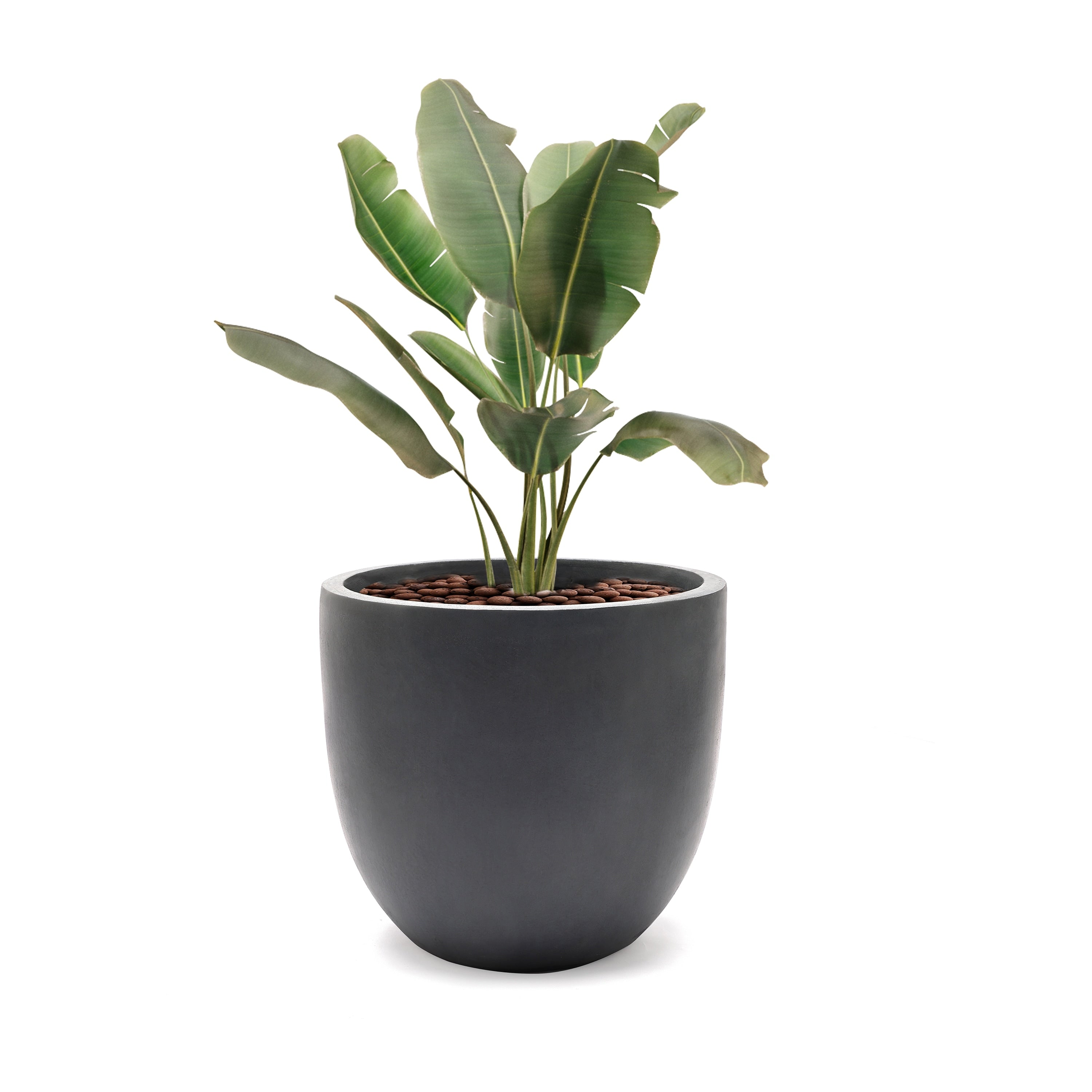 Tapered Round MgO Planter, Indoor and Outdoor