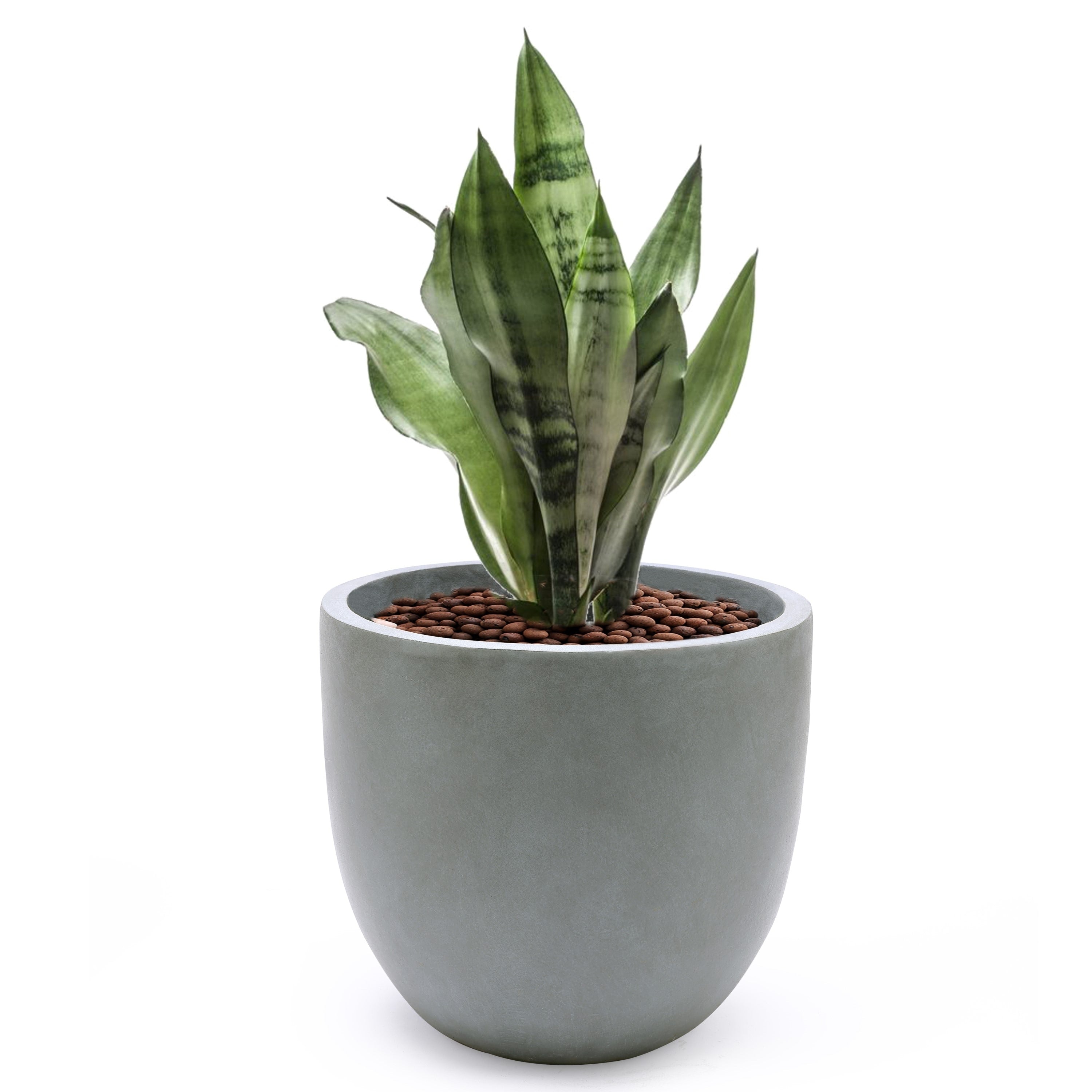 Tapered Round MgO Planter, Indoor and Outdoor