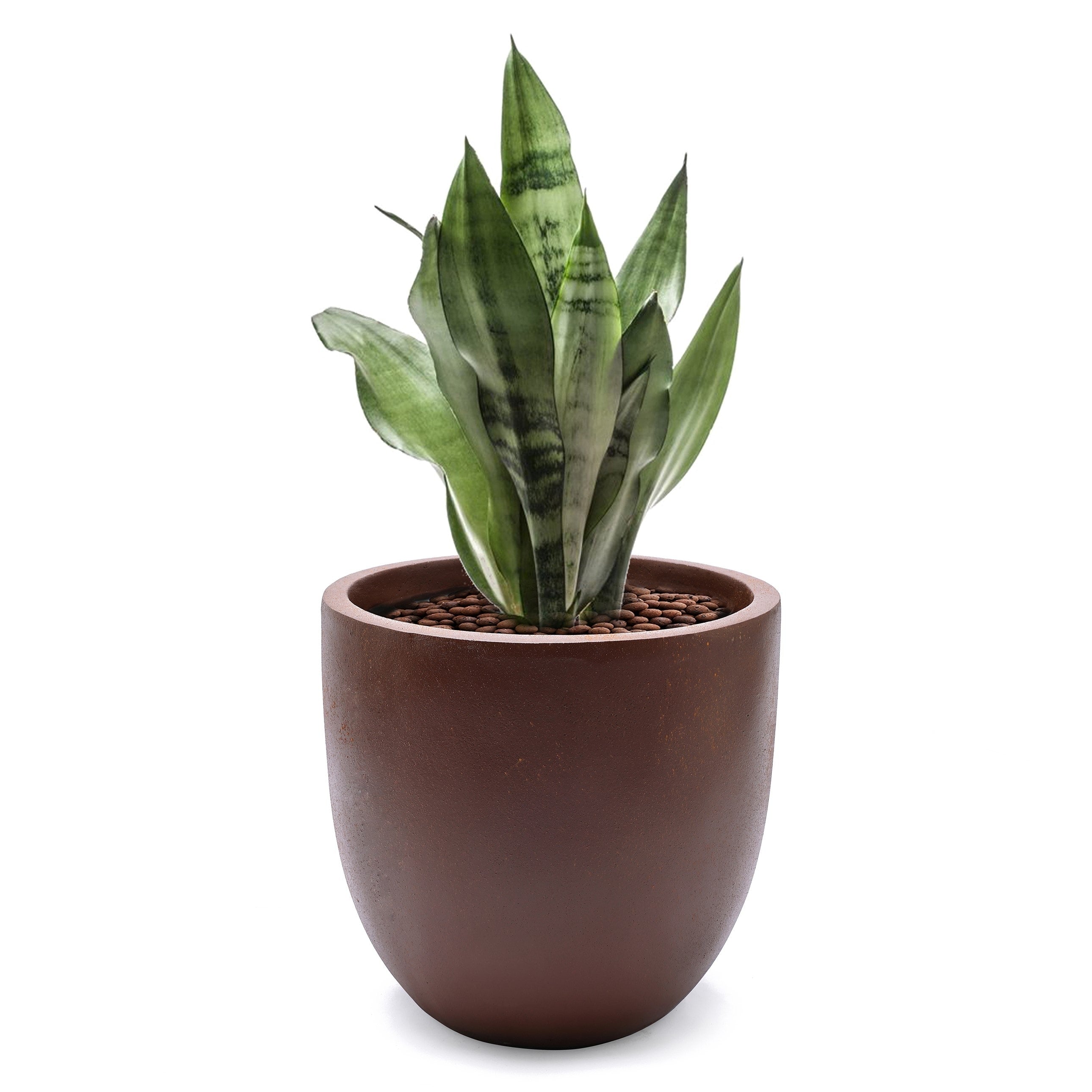 Tapered Round MgO Planter, Indoor and Outdoor