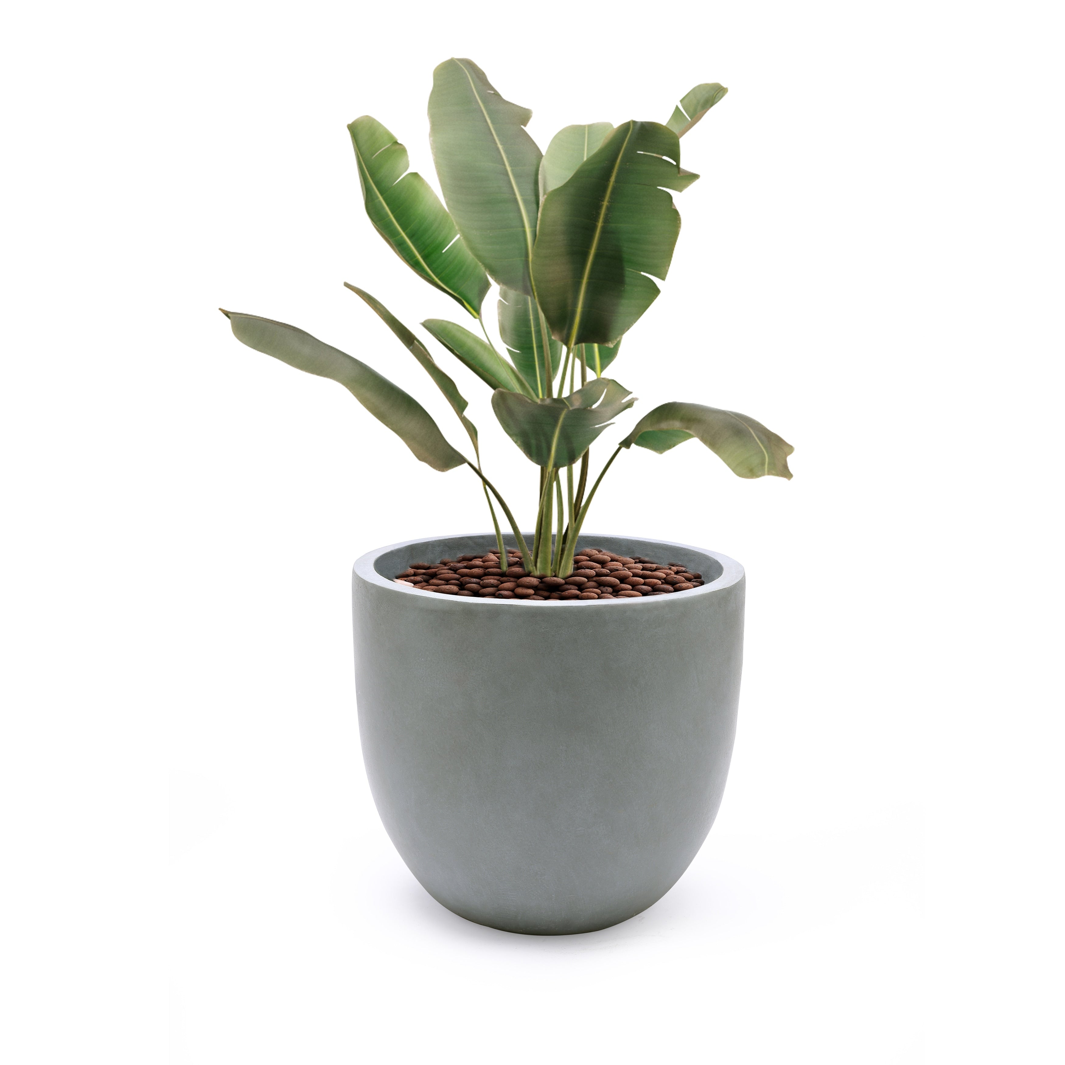 Tapered Round MgO Planter, Indoor and Outdoor