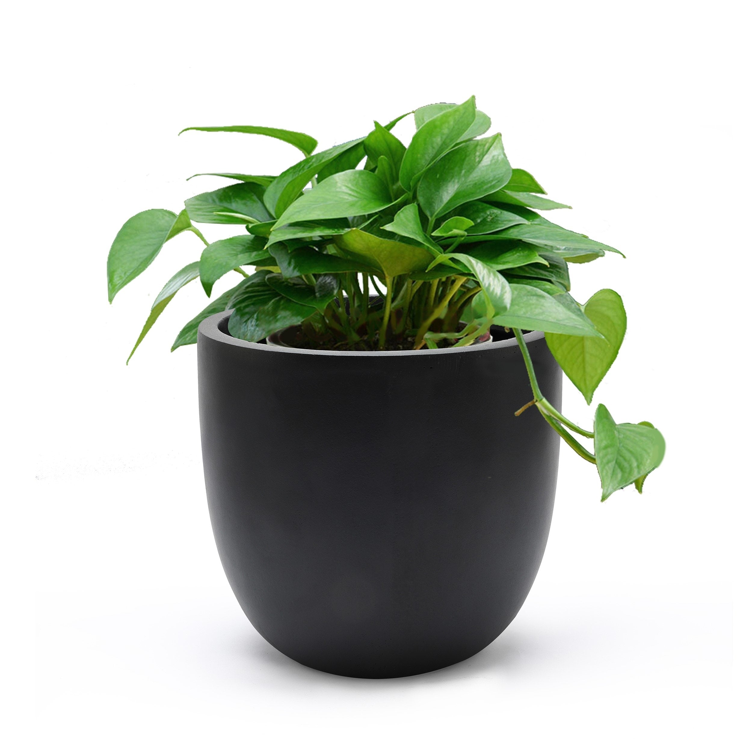 Tapered Round MgO Planter, Indoor and Outdoor