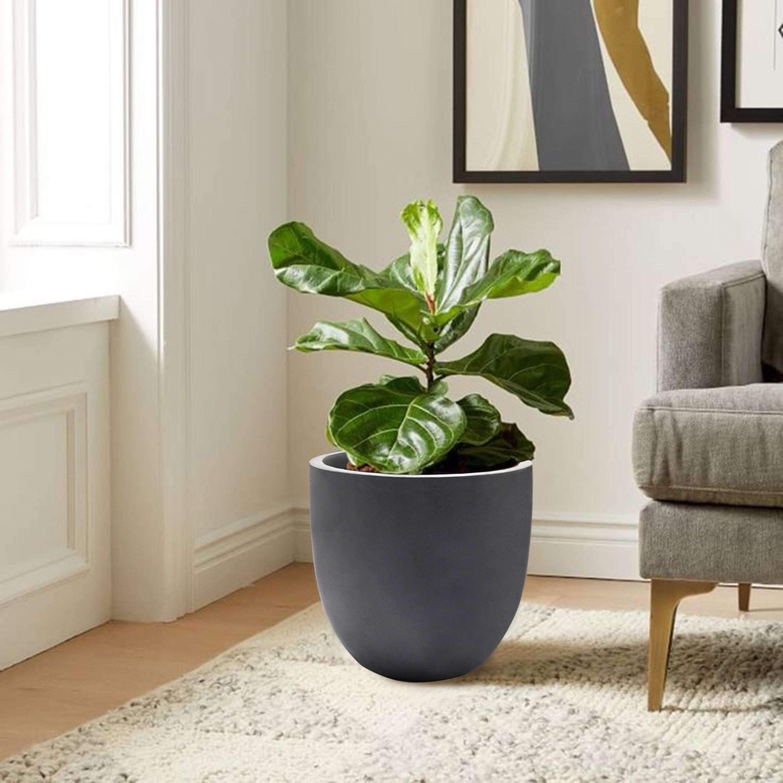 Tapered Round MgO Planter, Indoor and Outdoor