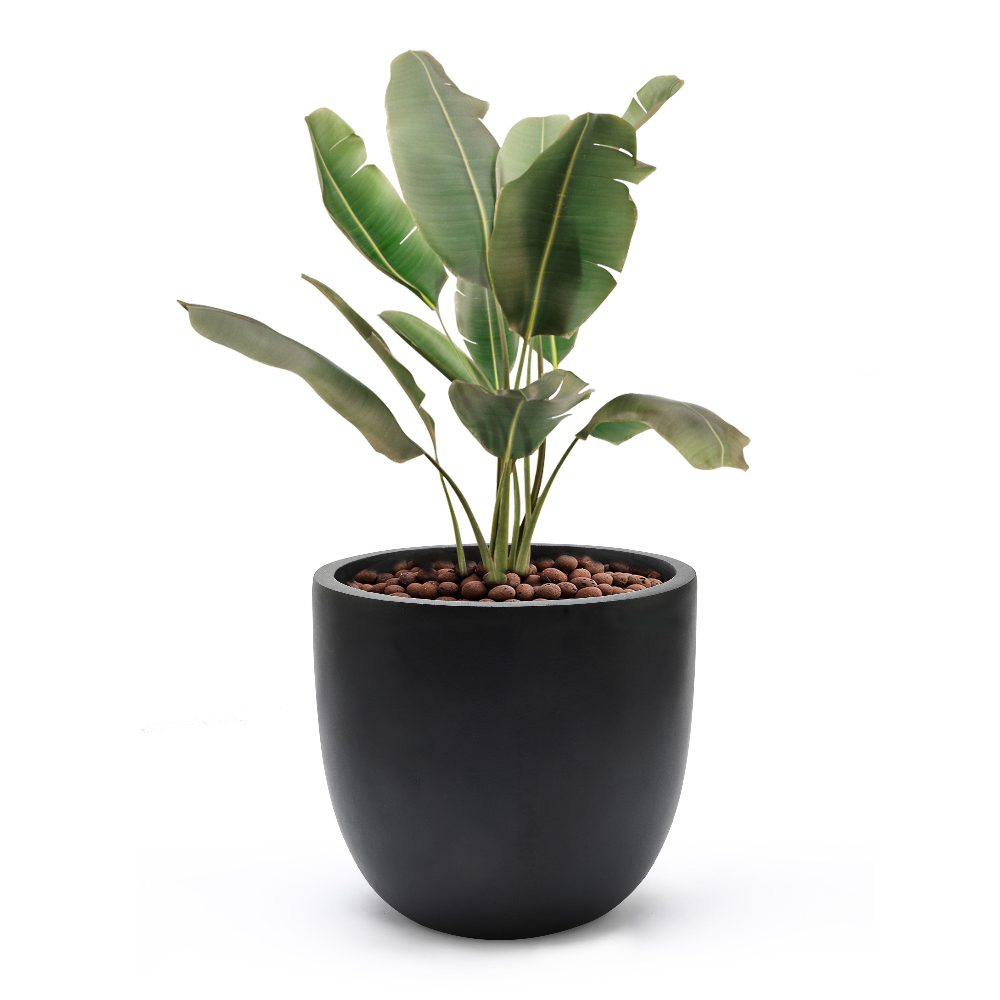 Tapered Round MgO Planter, Indoor and Outdoor