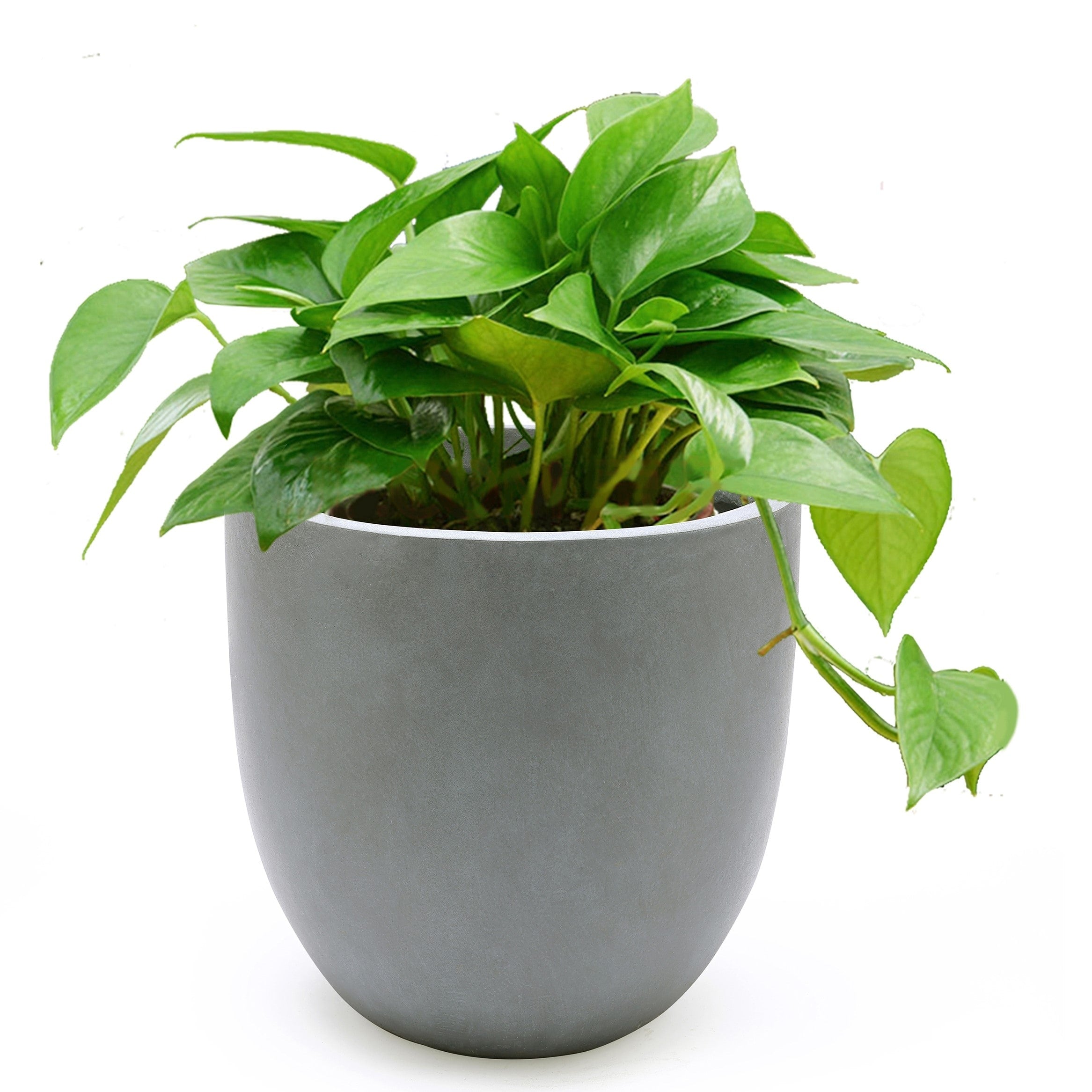 Tapered Round MgO Planter, Indoor and Outdoor