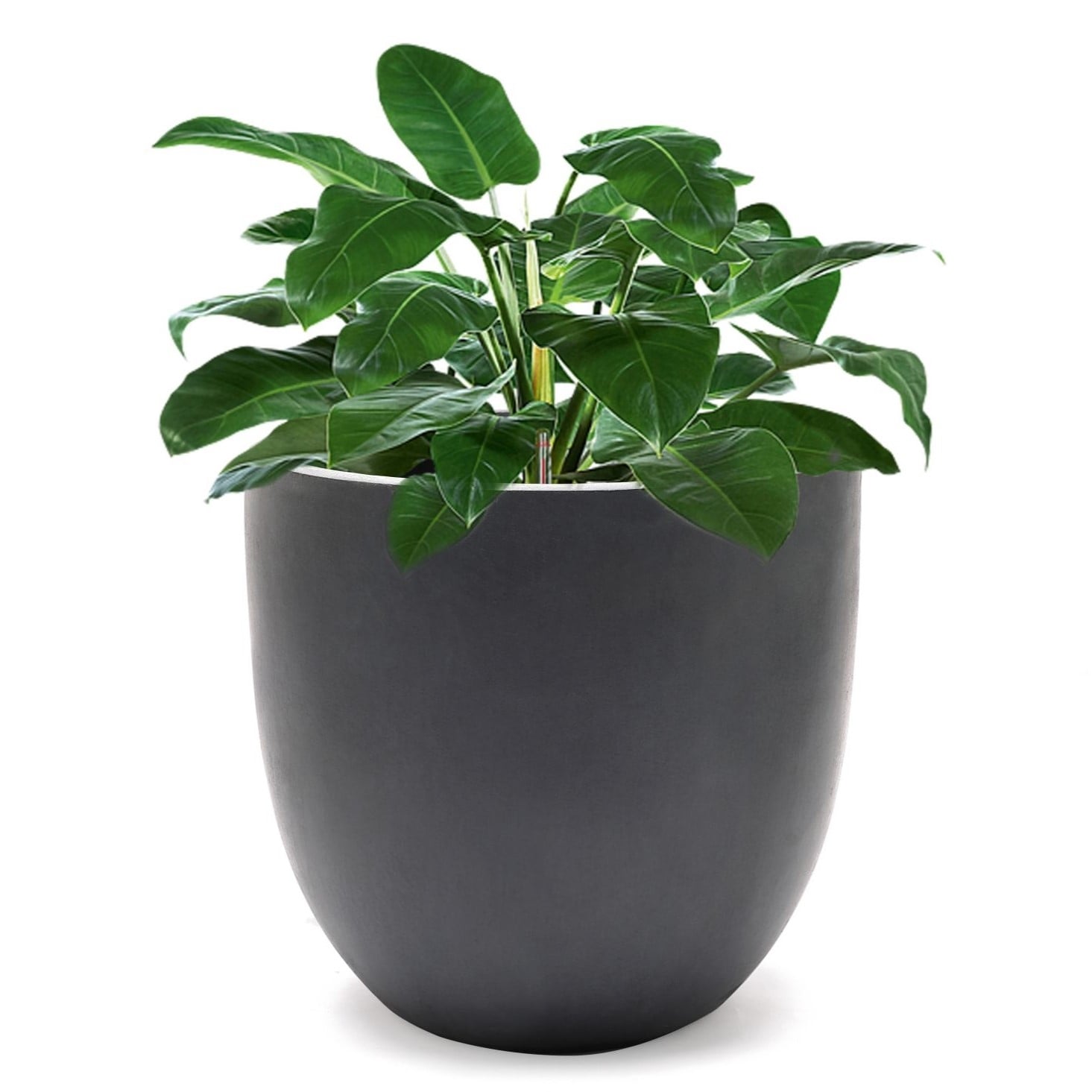 Tapered Round MgO Planter, Indoor and Outdoor