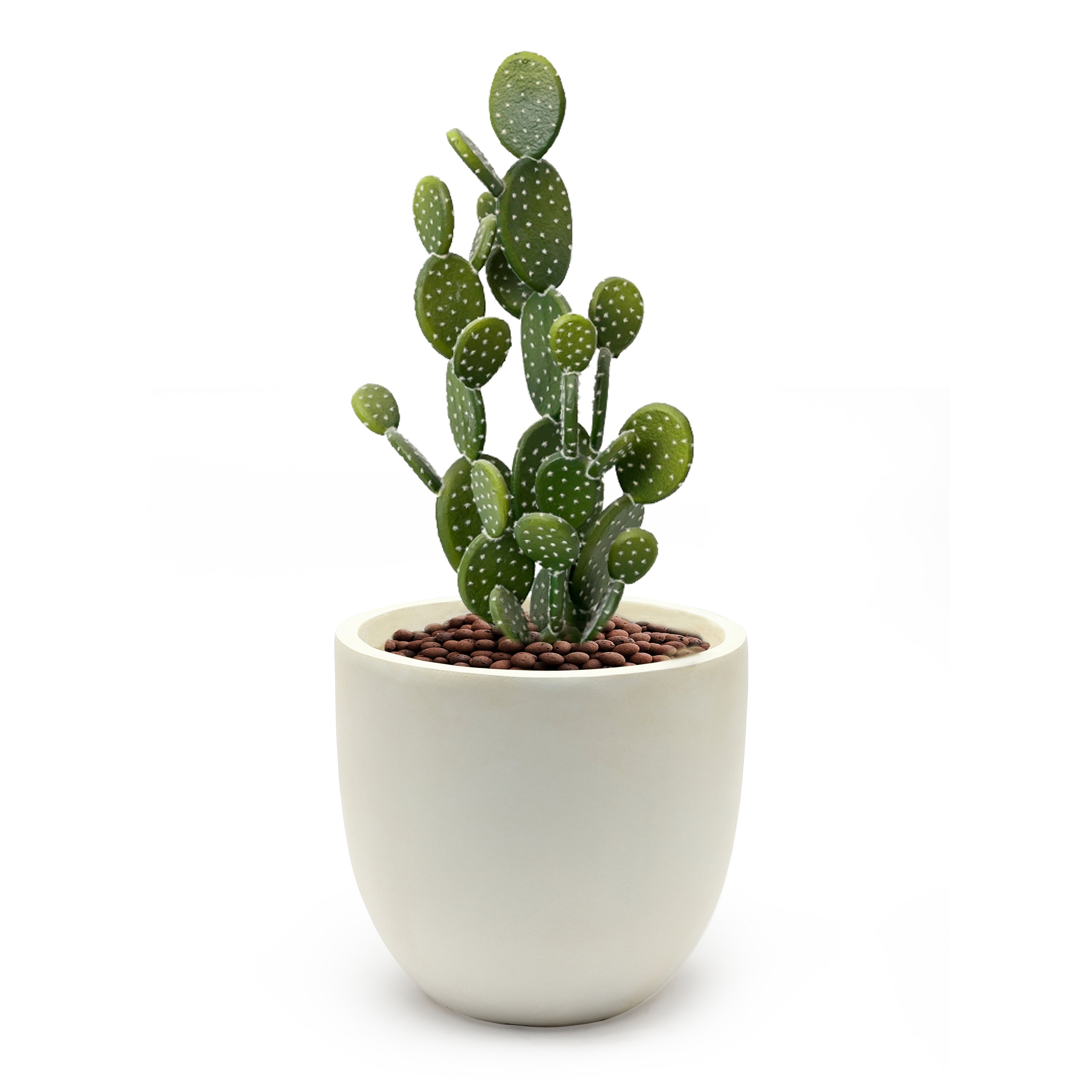 Tapered Round MgO Planter, Indoor and Outdoor