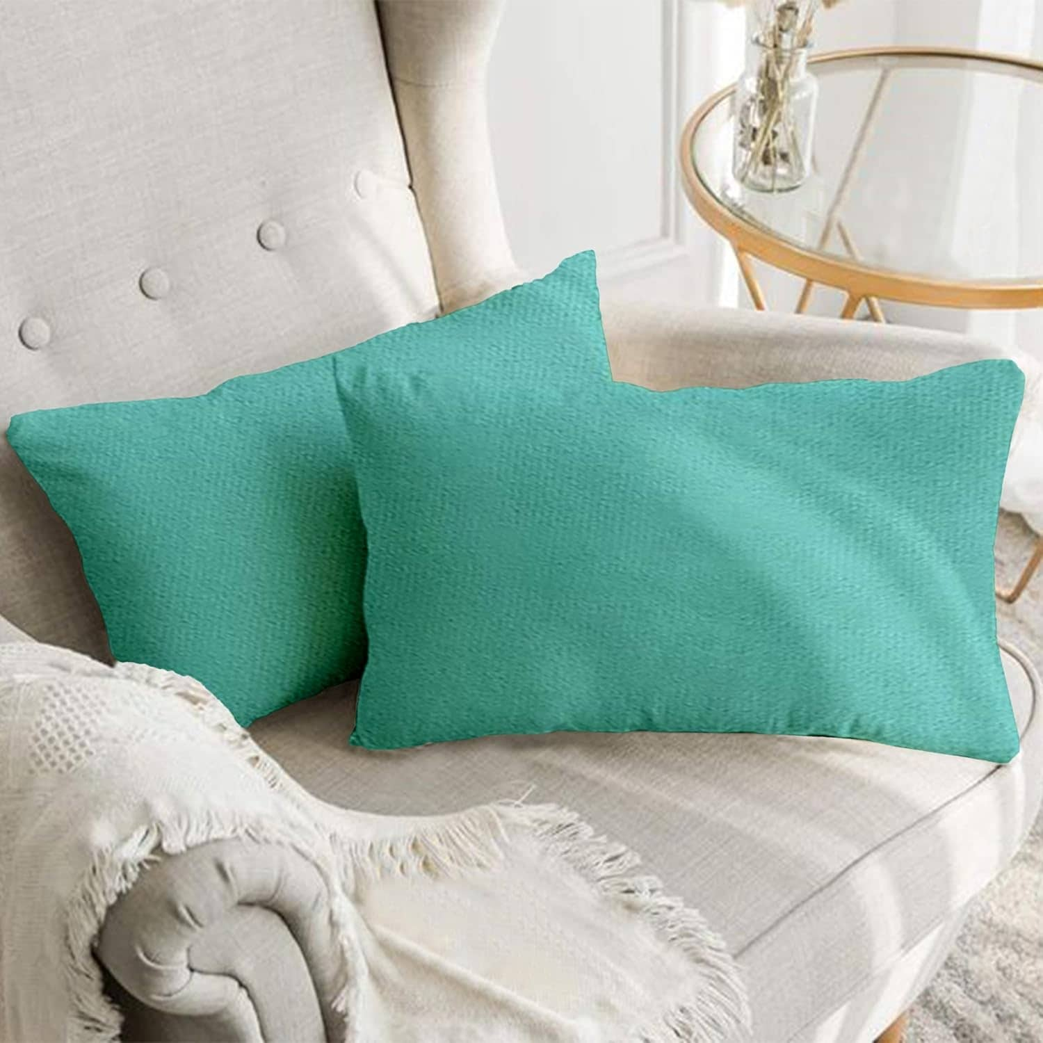 A1HC Set of 2 Luxurious Fine Soft Velvet Throw Pillow Covers Only, For Sofas, Beds, Vibrant Colors and Hidden Zipper