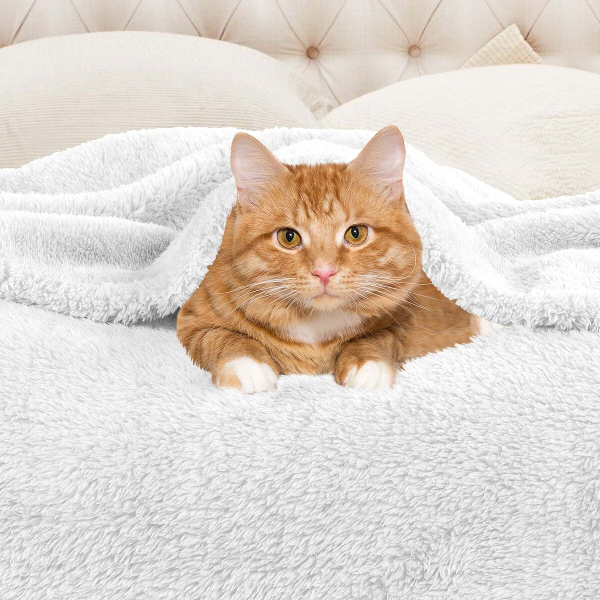 Simply Essential Plush Medium Weight Classic Solid Fleece Blanket