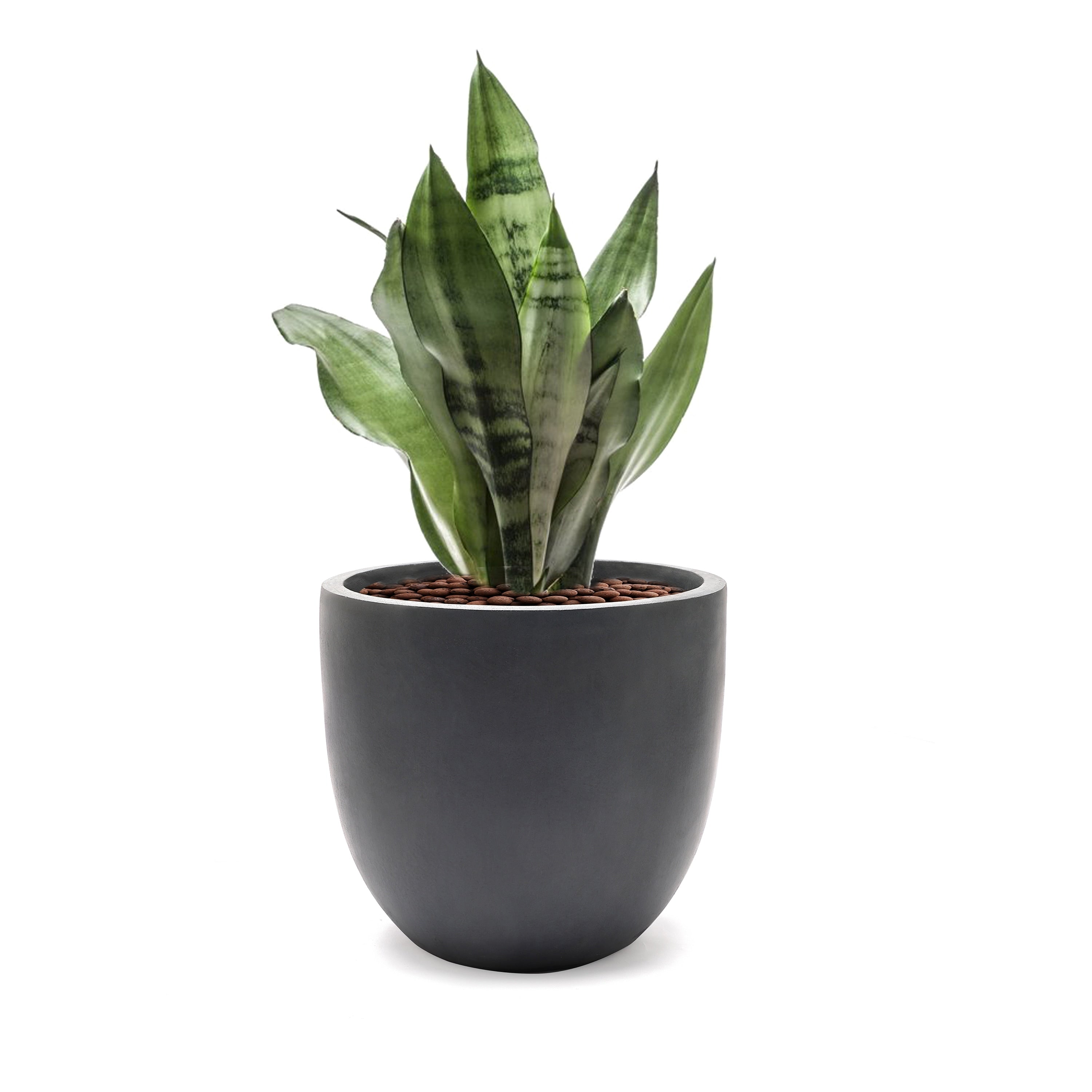 Tapered Round MgO Planter, Indoor and Outdoor