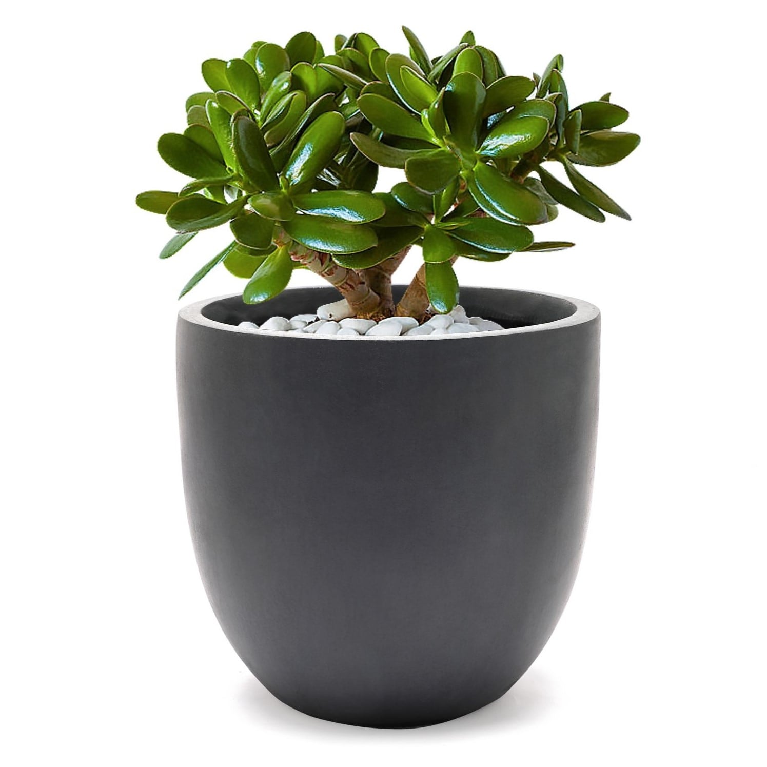 Tapered Round MgO Planter, Indoor and Outdoor