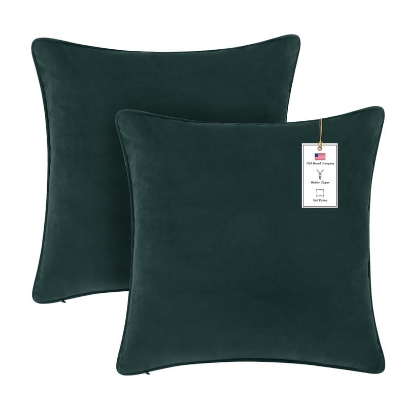 A1HC Set of 2 Luxurious Fine Soft Velvet Throw Pillow Covers Only, For Sofas, Beds, Vibrant Colors and Hidden Zipper