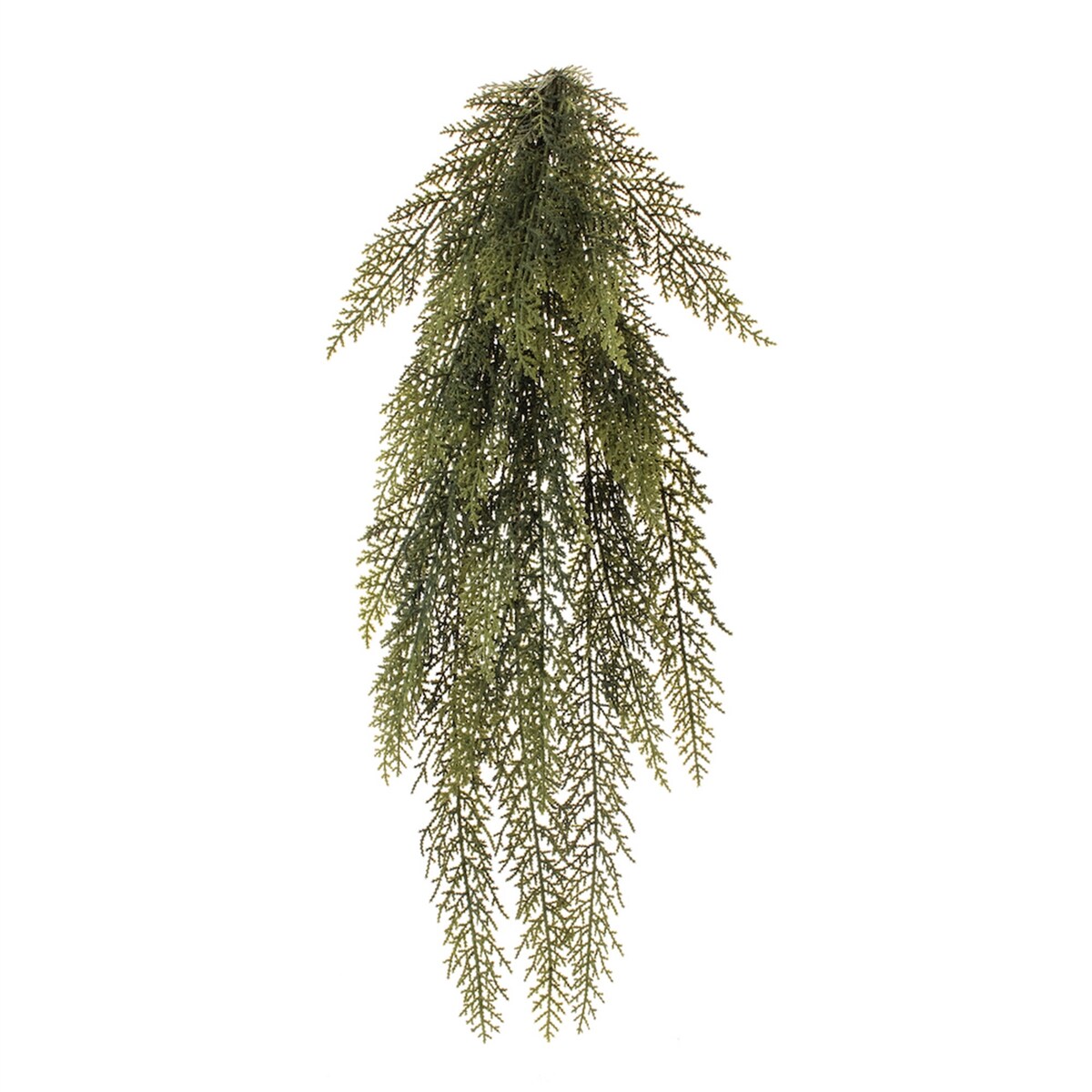 Variegated Pine Vine 31L - Green