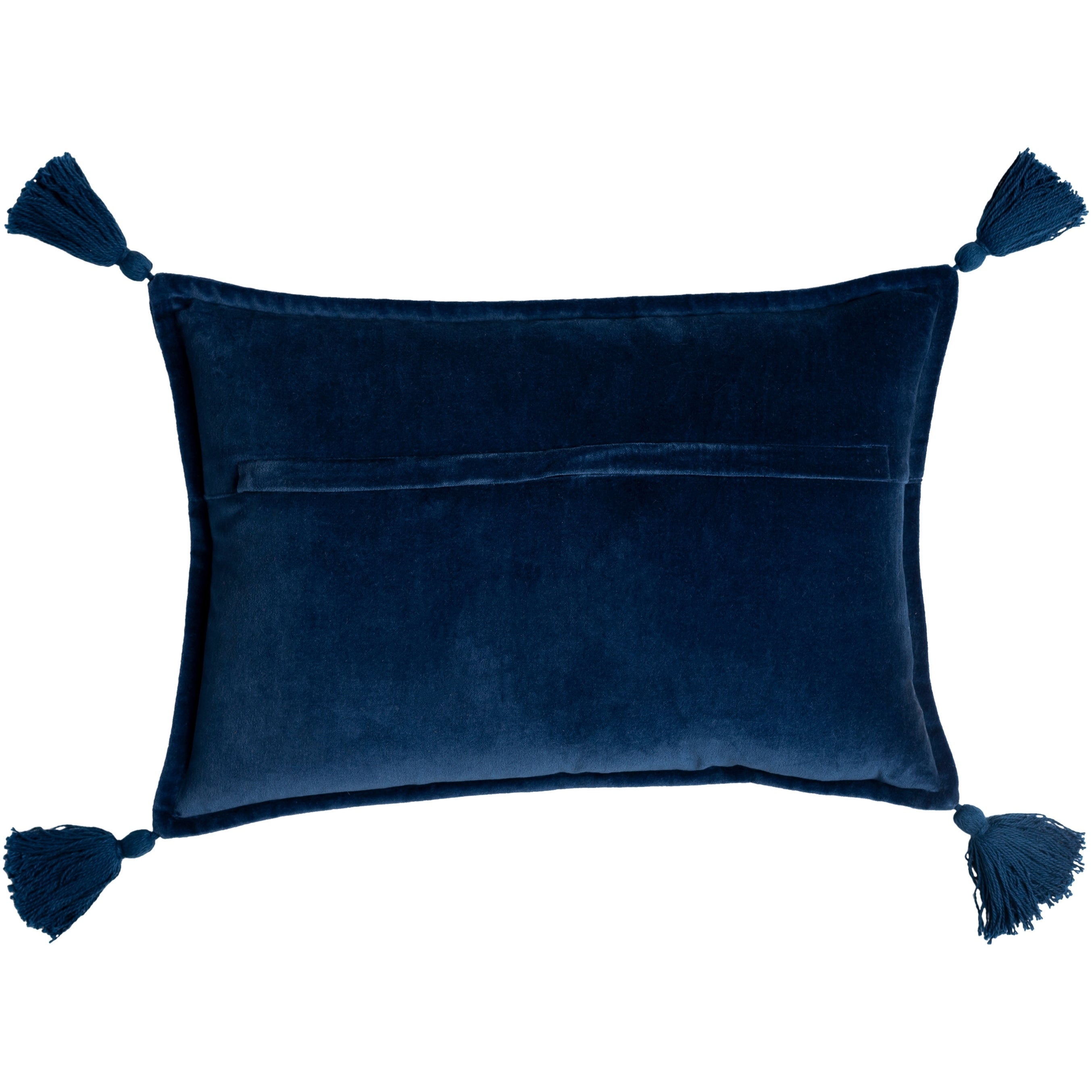 Cassain Velvet Lumbar Pillow with Tassels