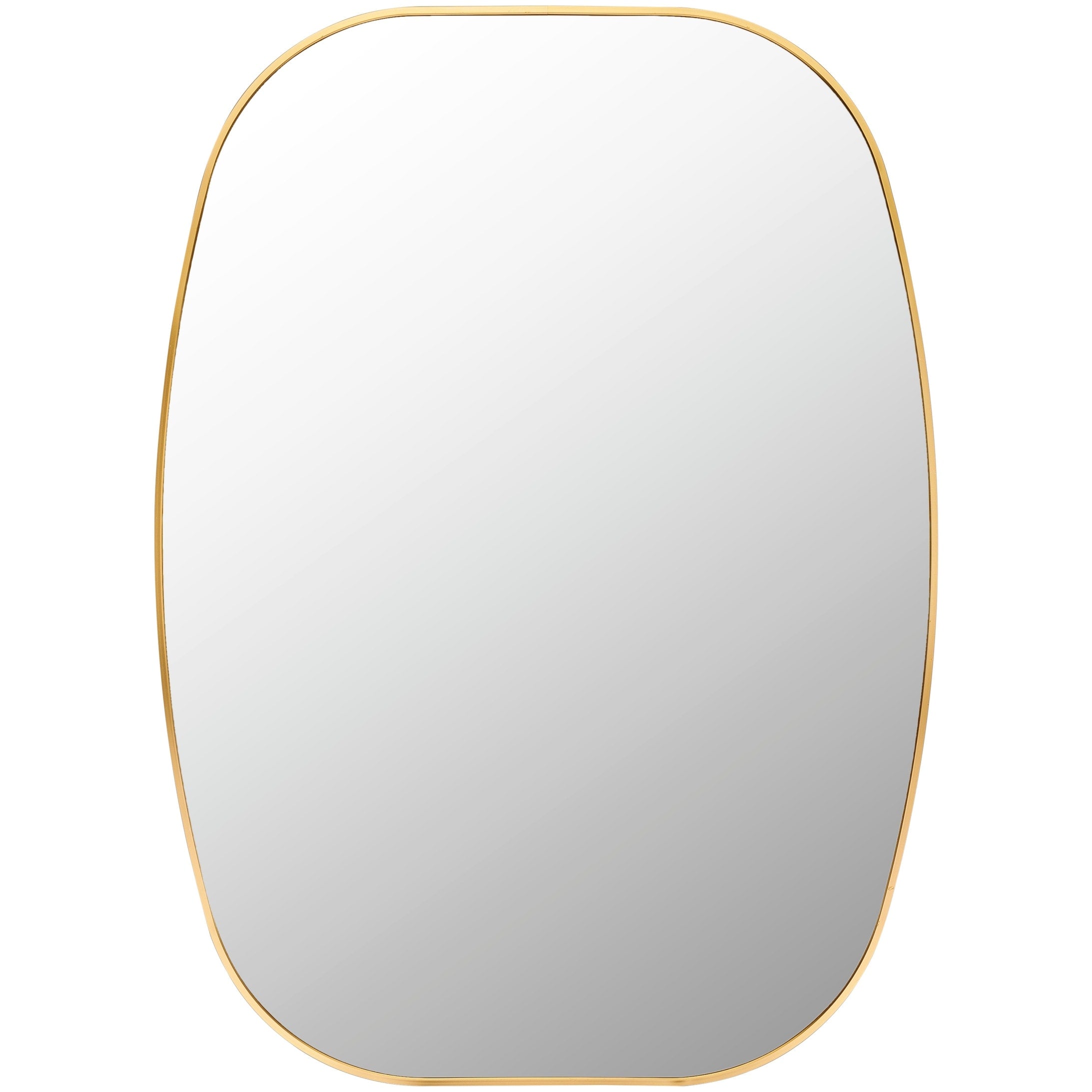 Livabliss Aranya Modern Aluminum Squared Oval Accent Mirror