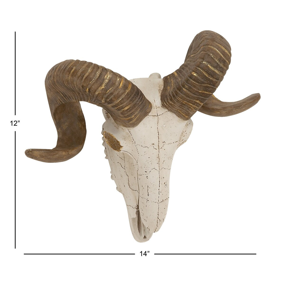 Polystone Sheep Skull Home Wall Decor - White - Roche River Decor