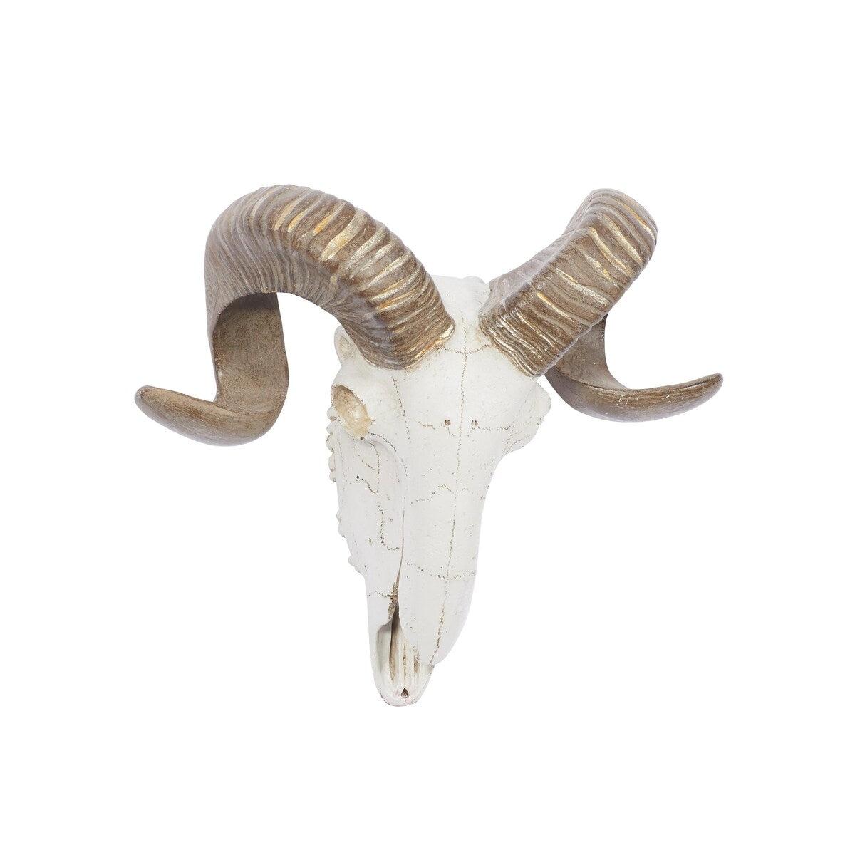 Polystone Sheep Skull Home Wall Decor - White - Roche River Decor