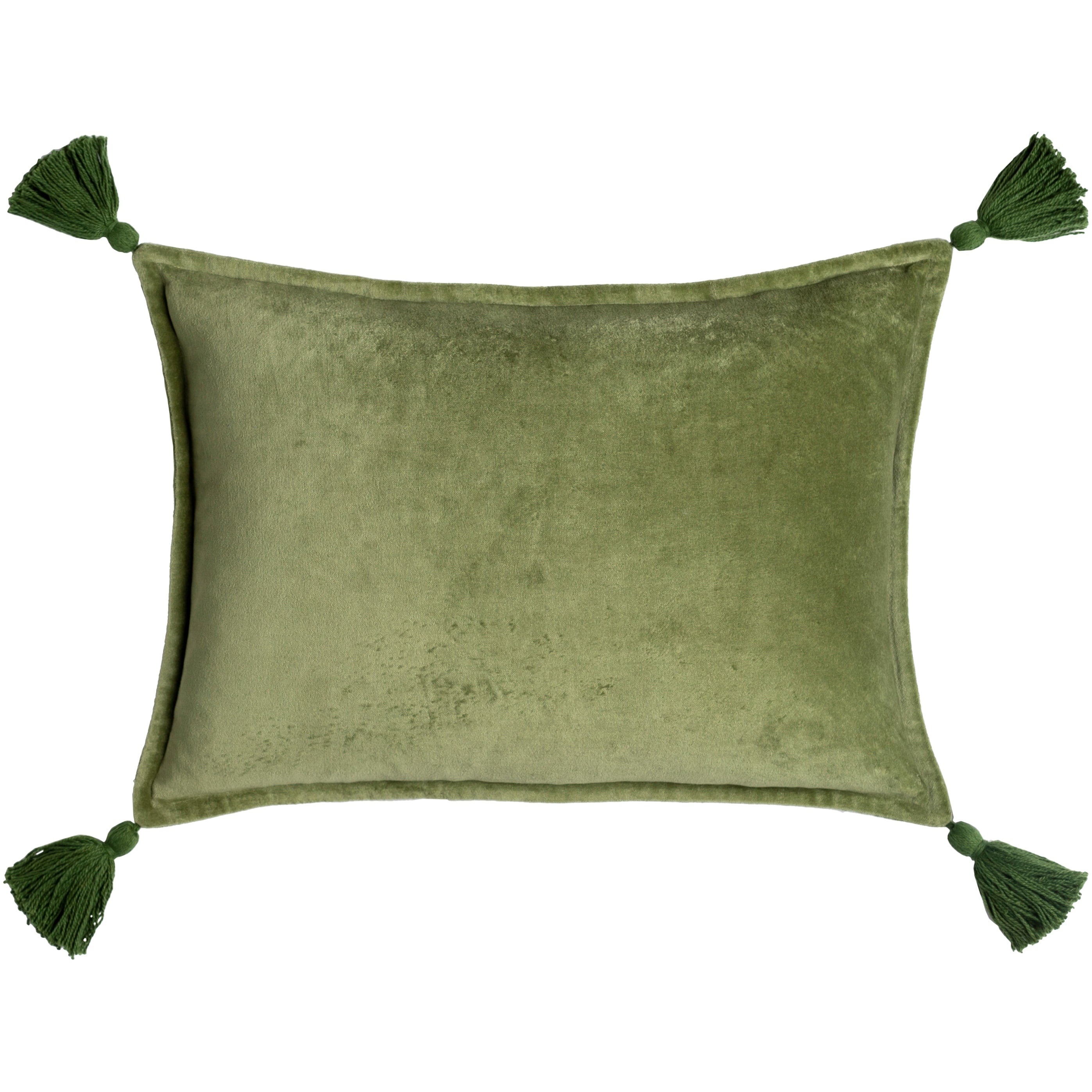 Cassain Velvet Lumbar Pillow with Tassels