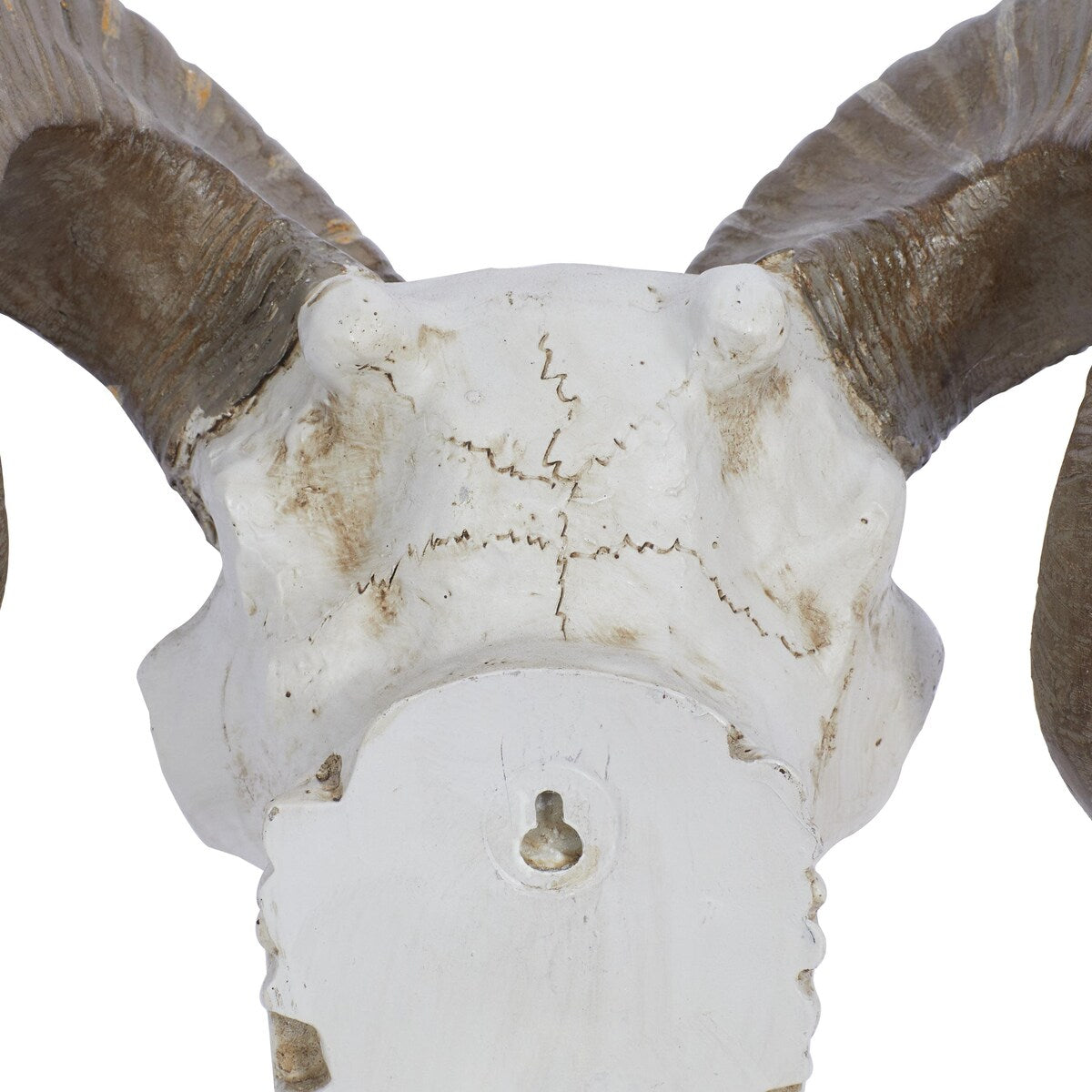 Polystone Sheep Skull Home Wall Decor - White - Roche River Decor