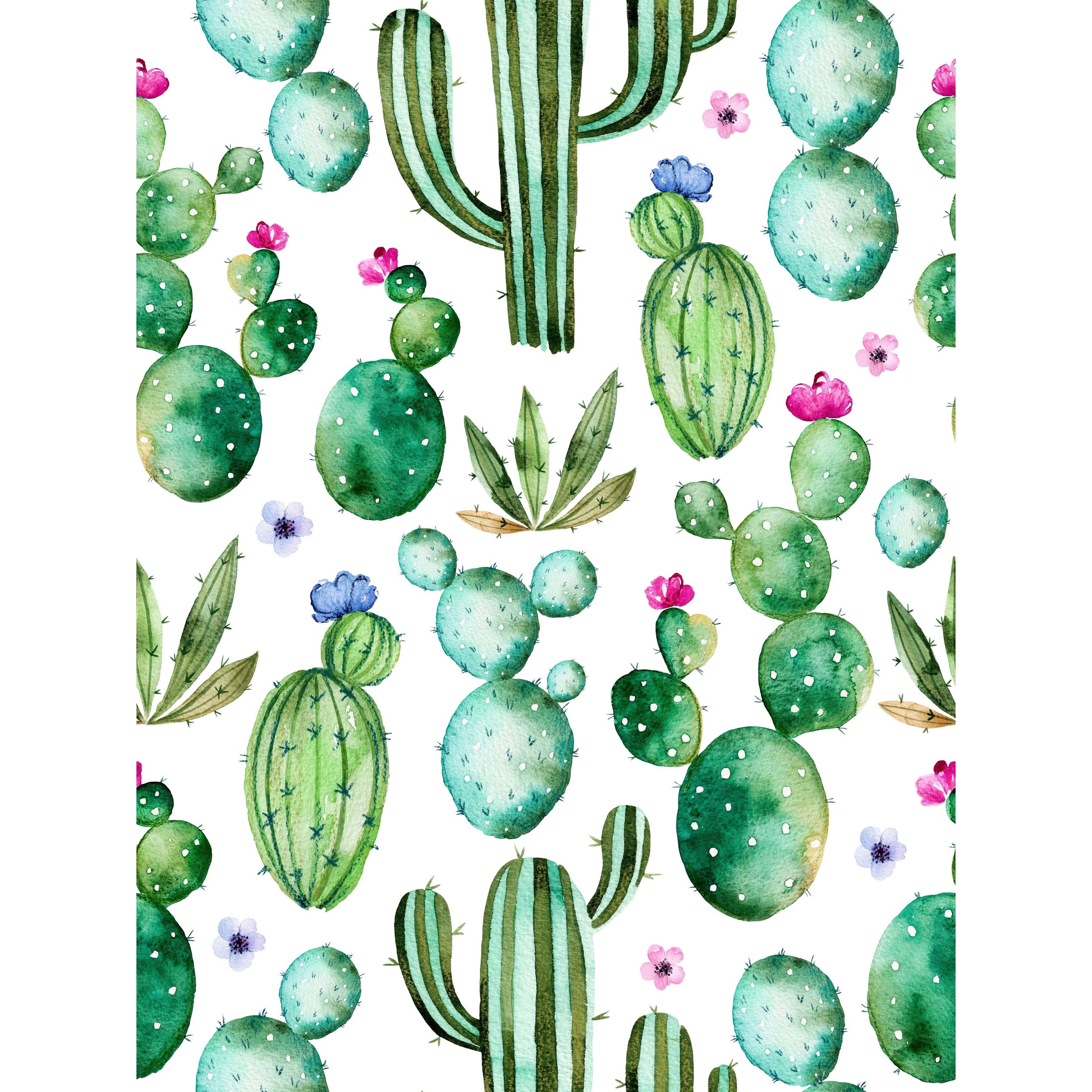 Hand Painted Watercolor Cactus Removable Wallpaper