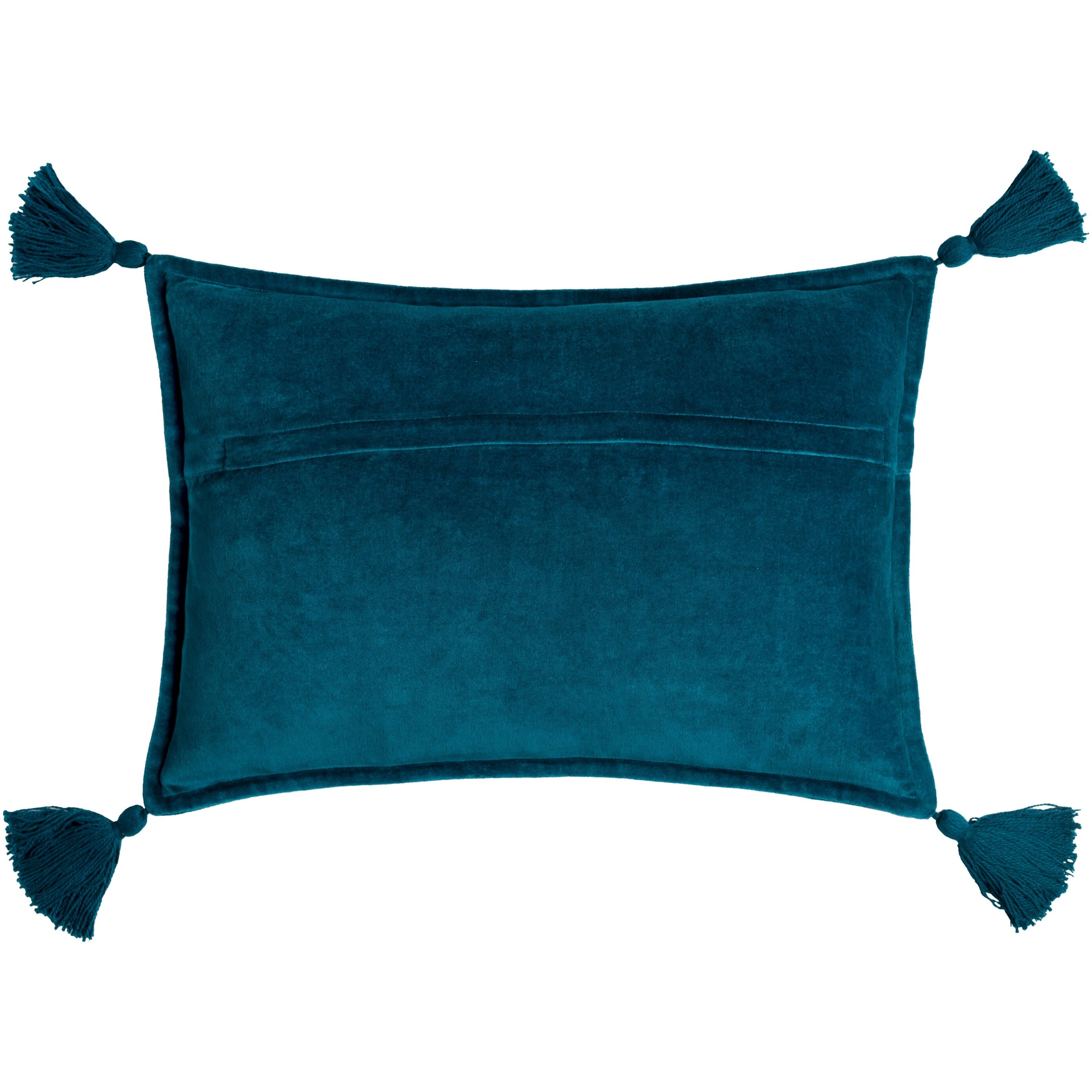 Cassain Velvet Lumbar Pillow with Tassels