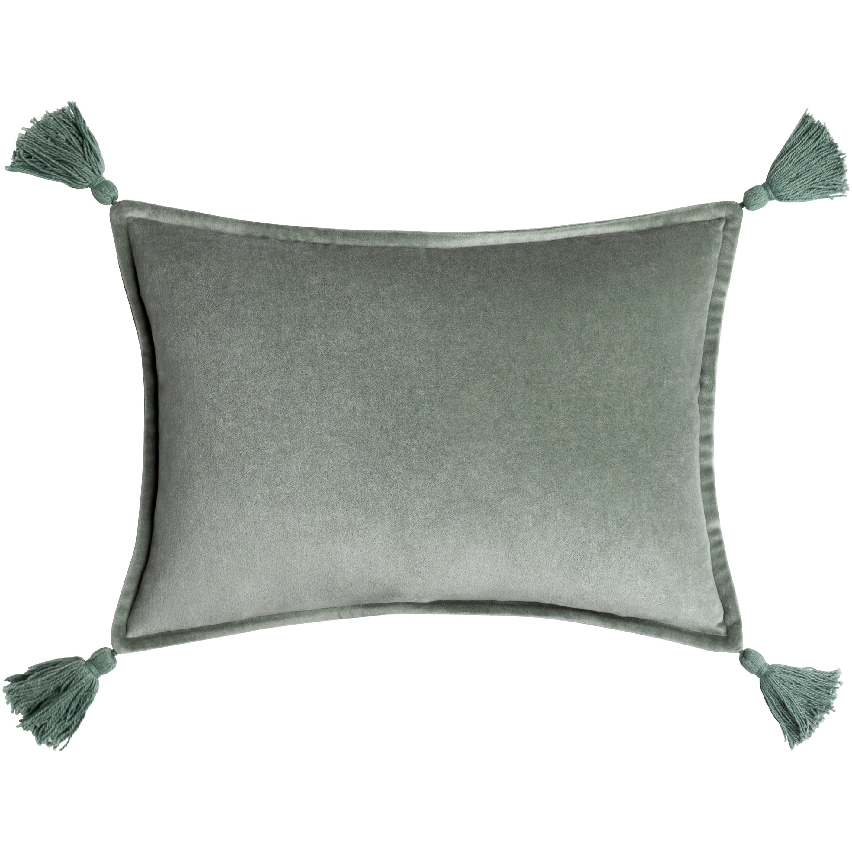 Cassain Velvet Lumbar Pillow with Tassels