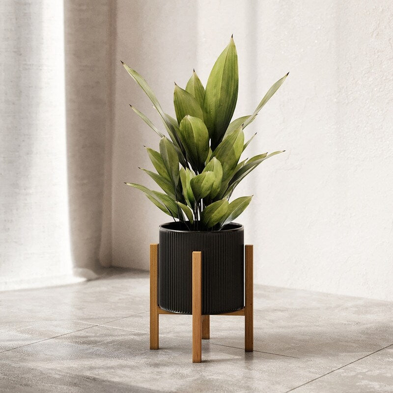 Everett Black Mid-Century Modern Indoor Metal Pot Planter with 4-Leg Wood Base