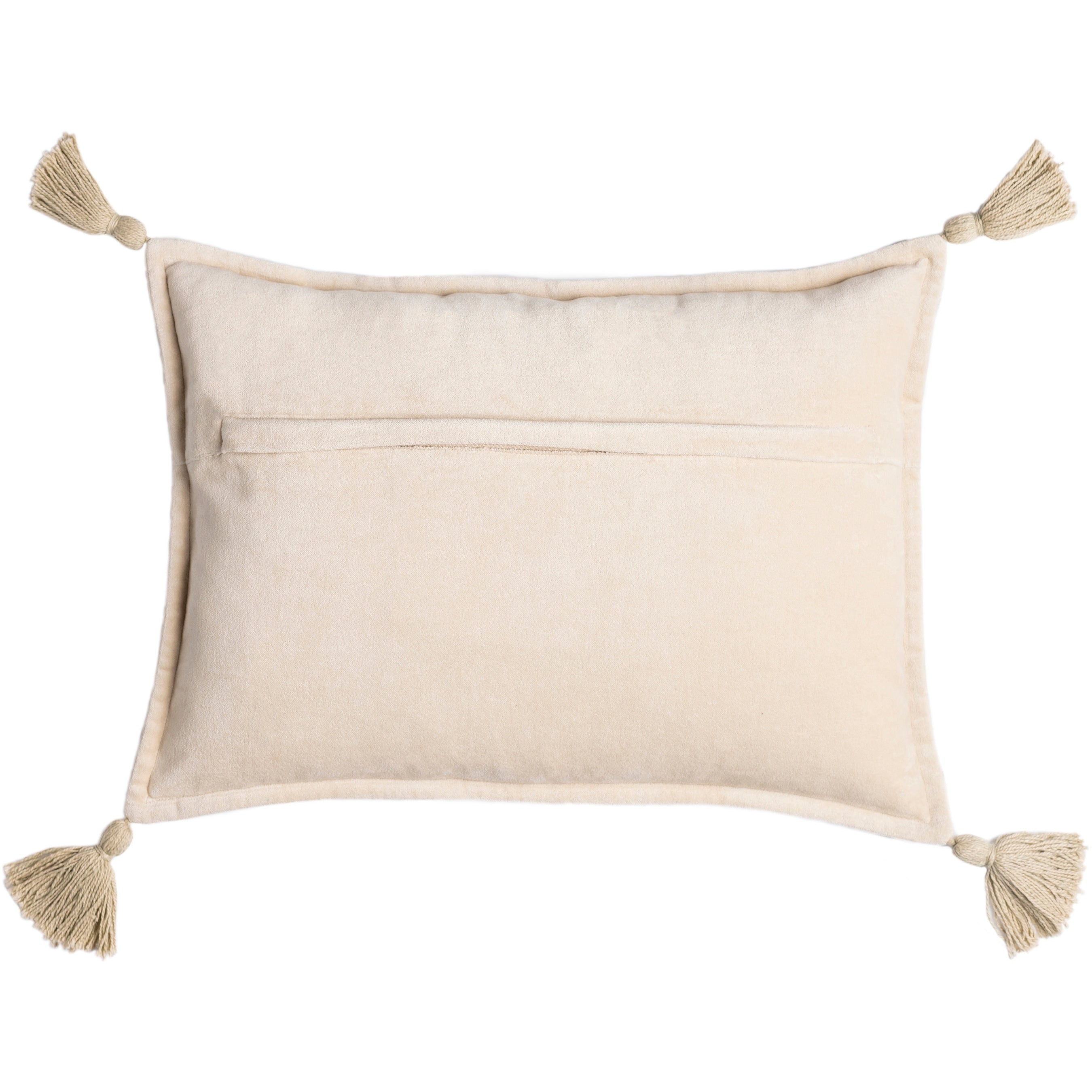 Cassain Velvet Lumbar Pillow with Tassels